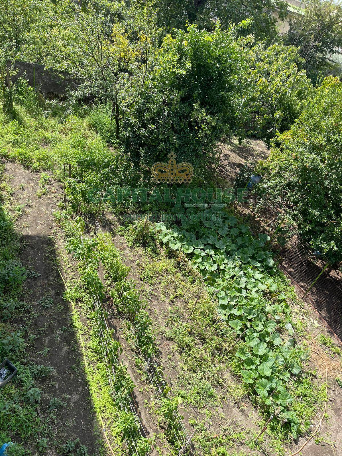 Indipendente in vendita a Avella