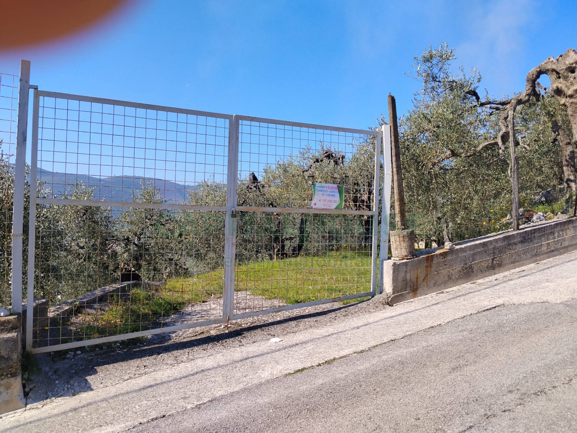 Terreno agr. terrazzato in vendita a Sirignano