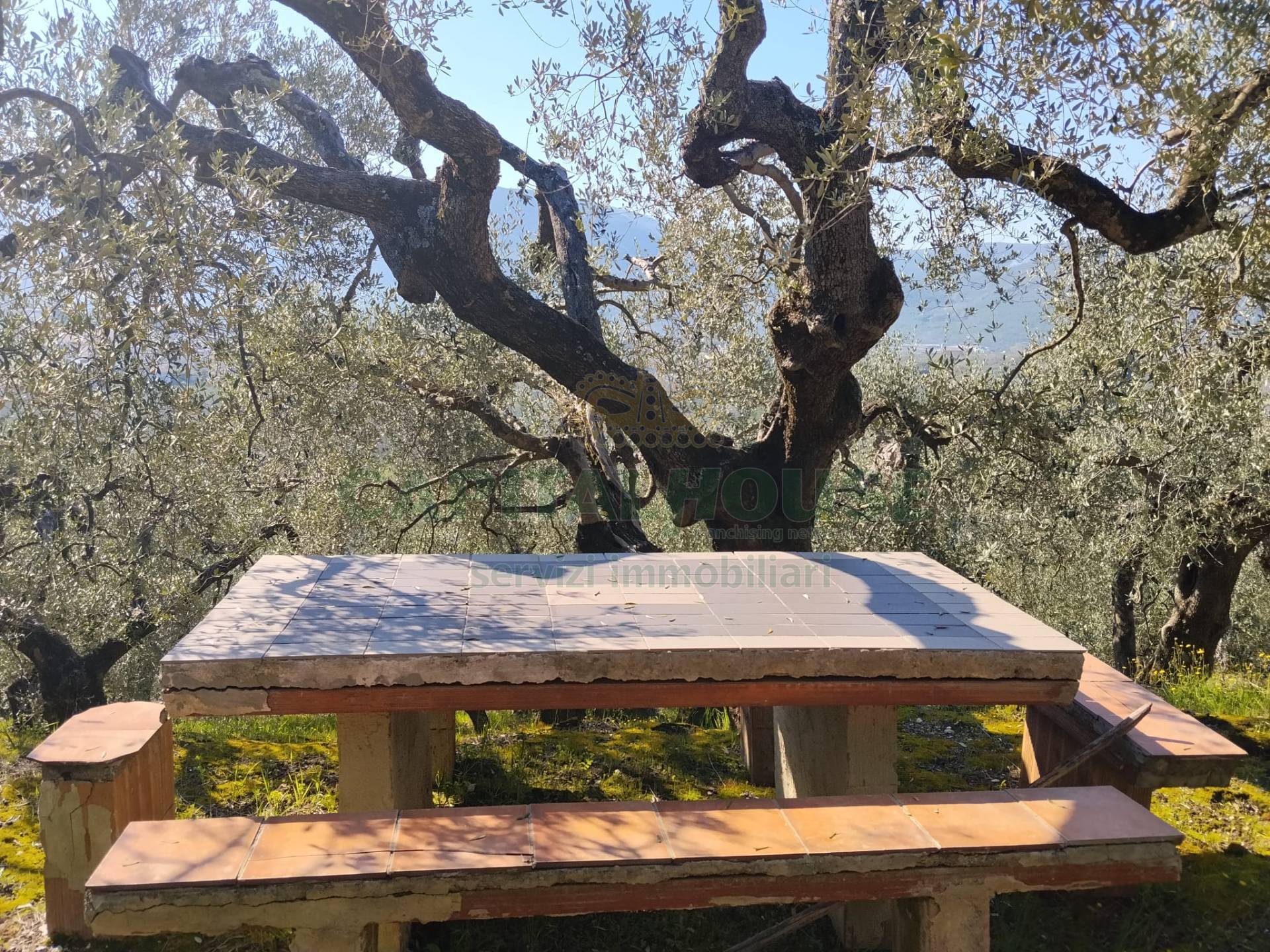 Terreno agr. terrazzato in vendita a Sirignano