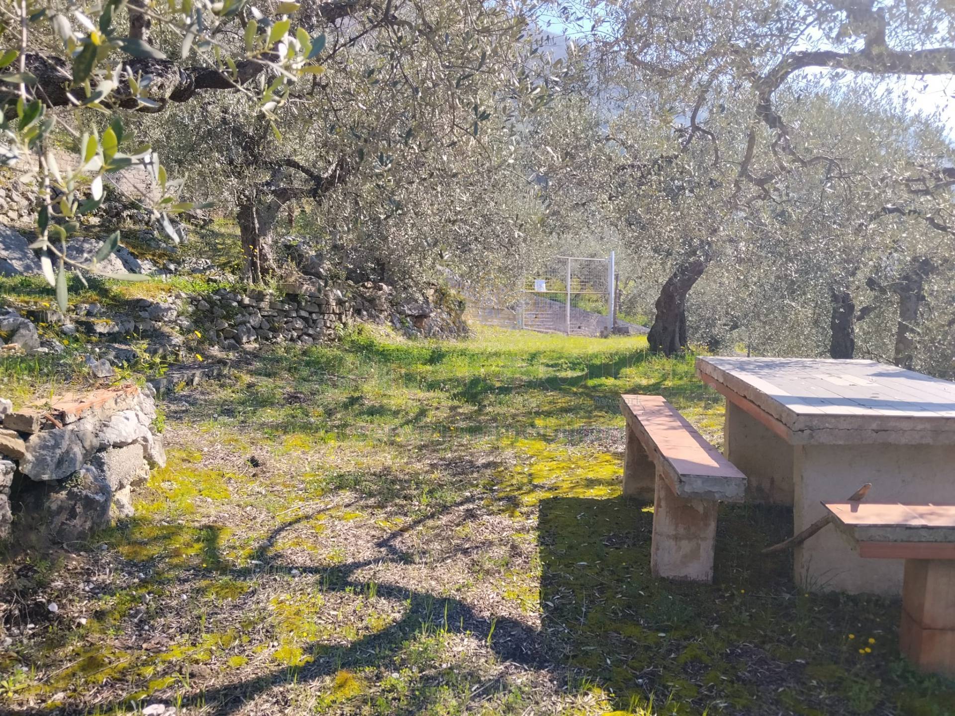 Terreno agr. terrazzato in vendita a Sirignano