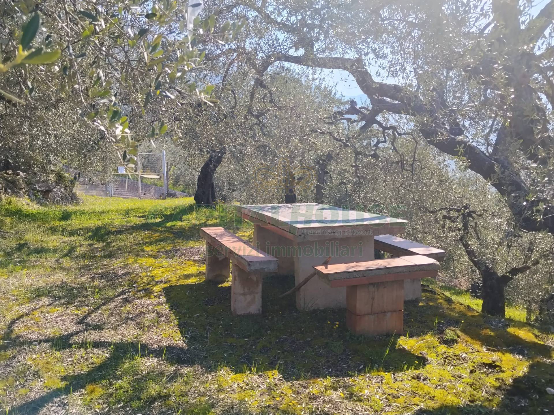 Terreno agr. terrazzato in vendita a Sirignano