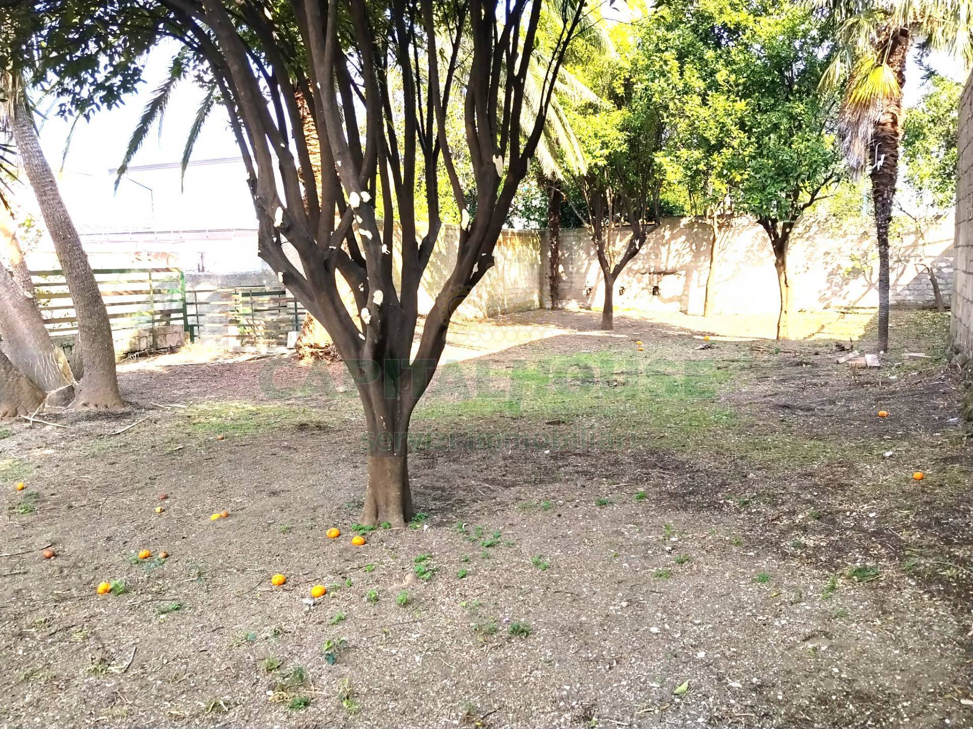 Indipendente in vendita a Sirignano