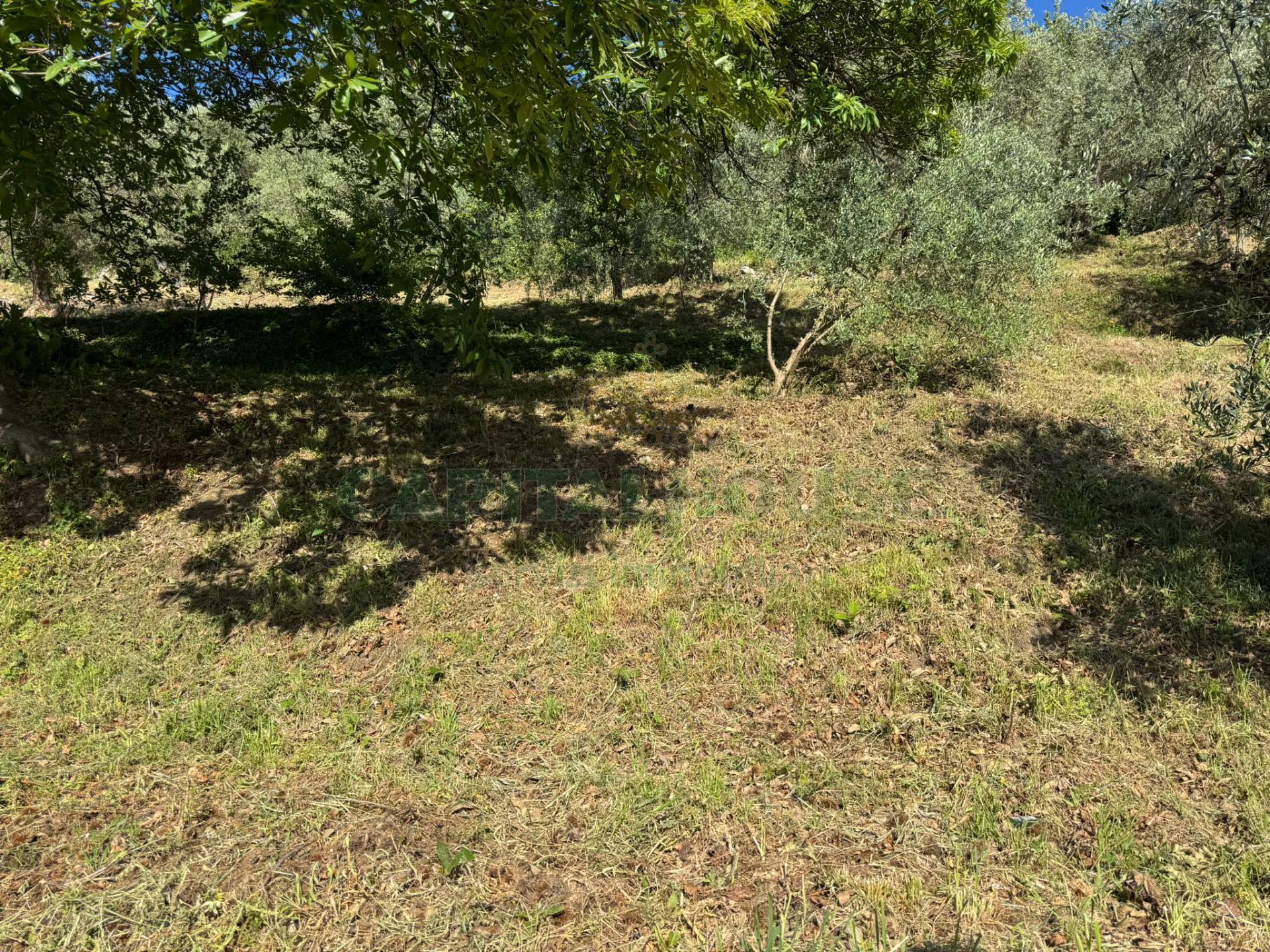 Terreno edificabile in vendita a Quadrelle