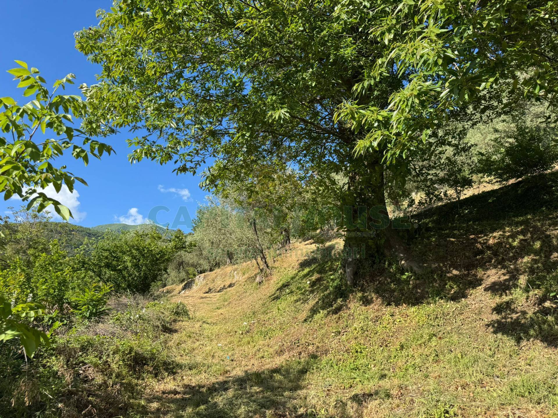 Terreno edificabile in vendita a Quadrelle
