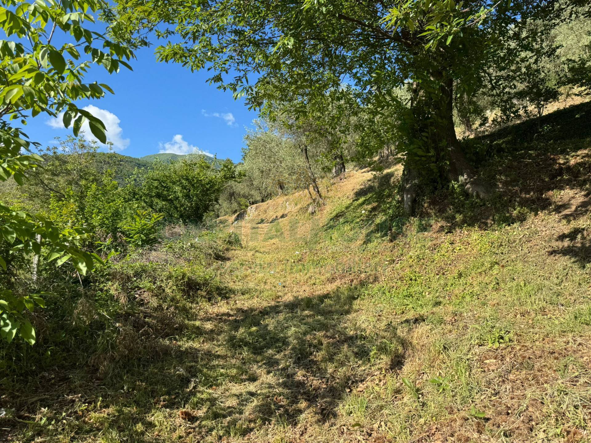 Terreno edificabile in vendita a Quadrelle