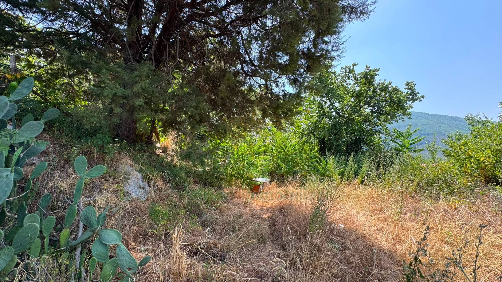 Terreno agricolo in vendita a Mugnano del Cardinale