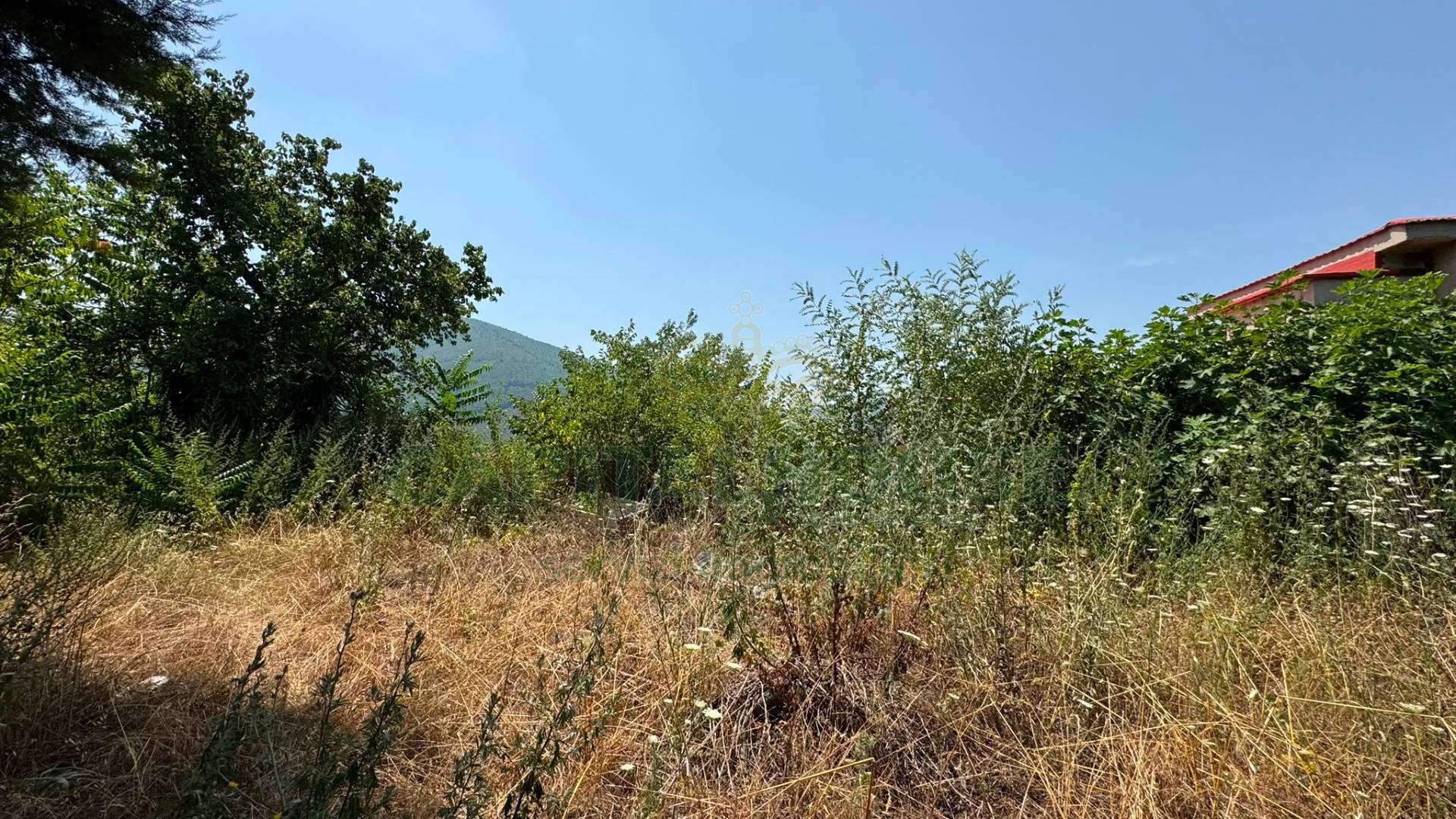 Terreno agricolo in vendita a Mugnano del Cardinale