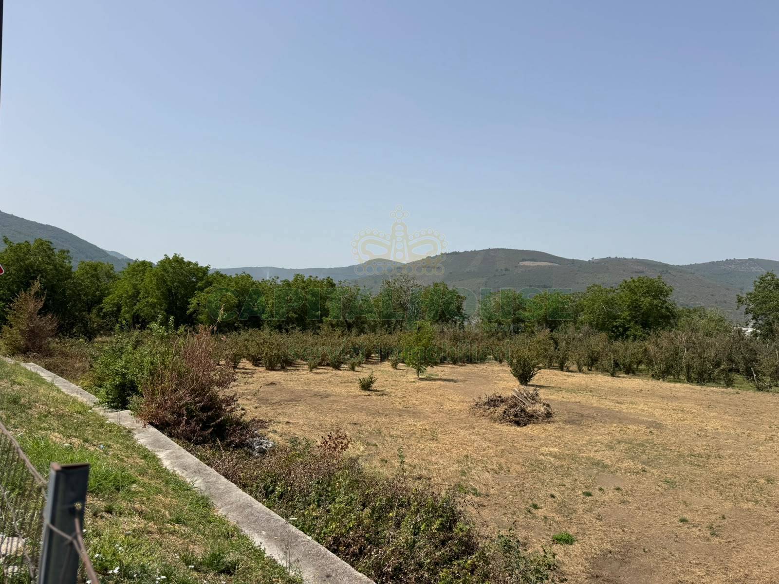 Terreno agricolo in vendita a Mugnano del Cardinale