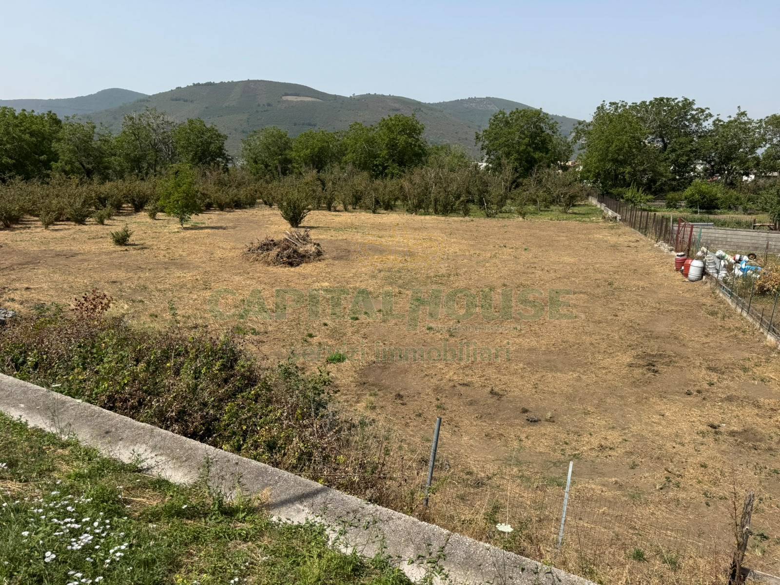 Terreno agricolo in vendita a Mugnano del Cardinale