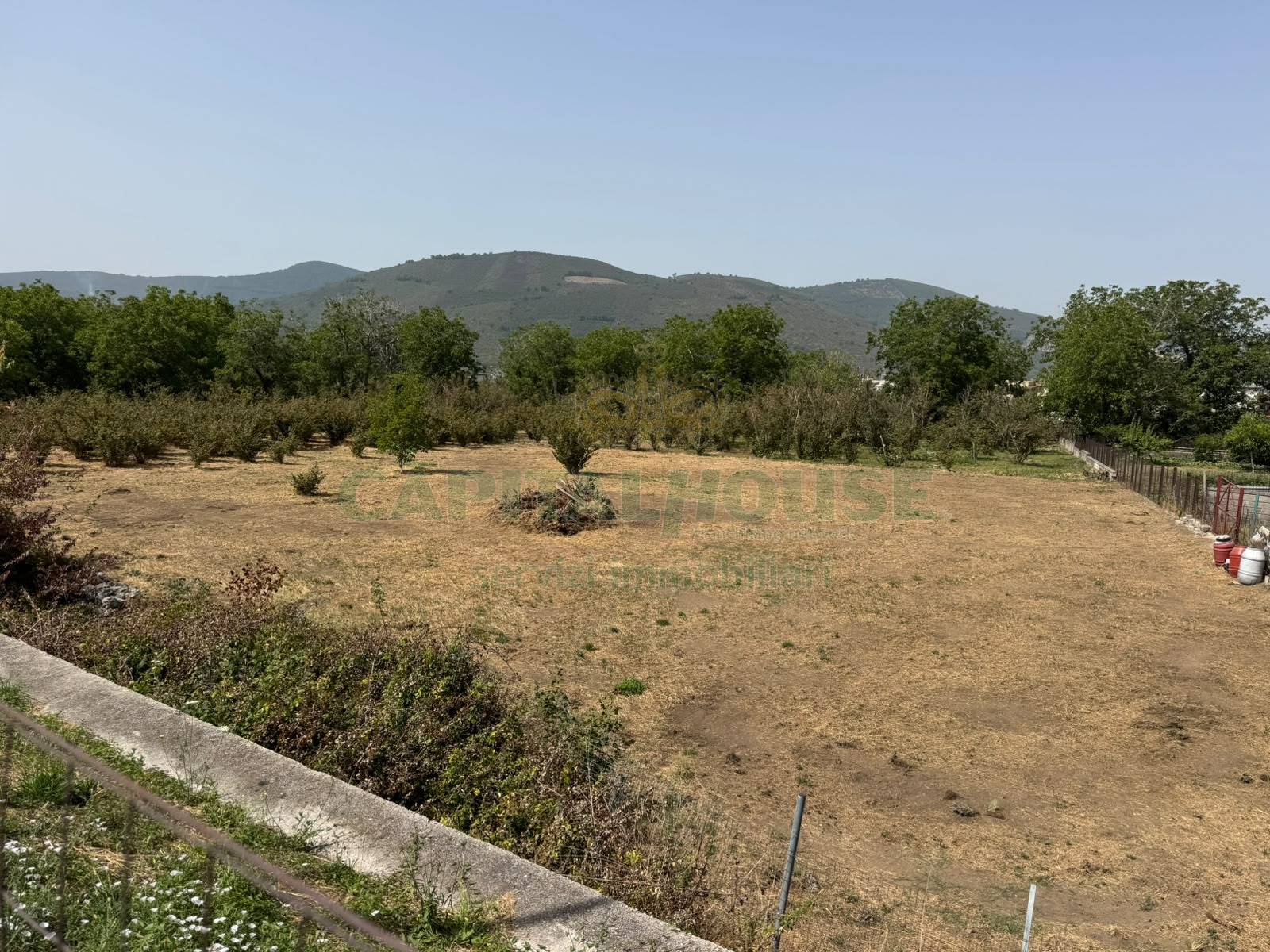 Terreno agricolo in vendita a Mugnano del Cardinale