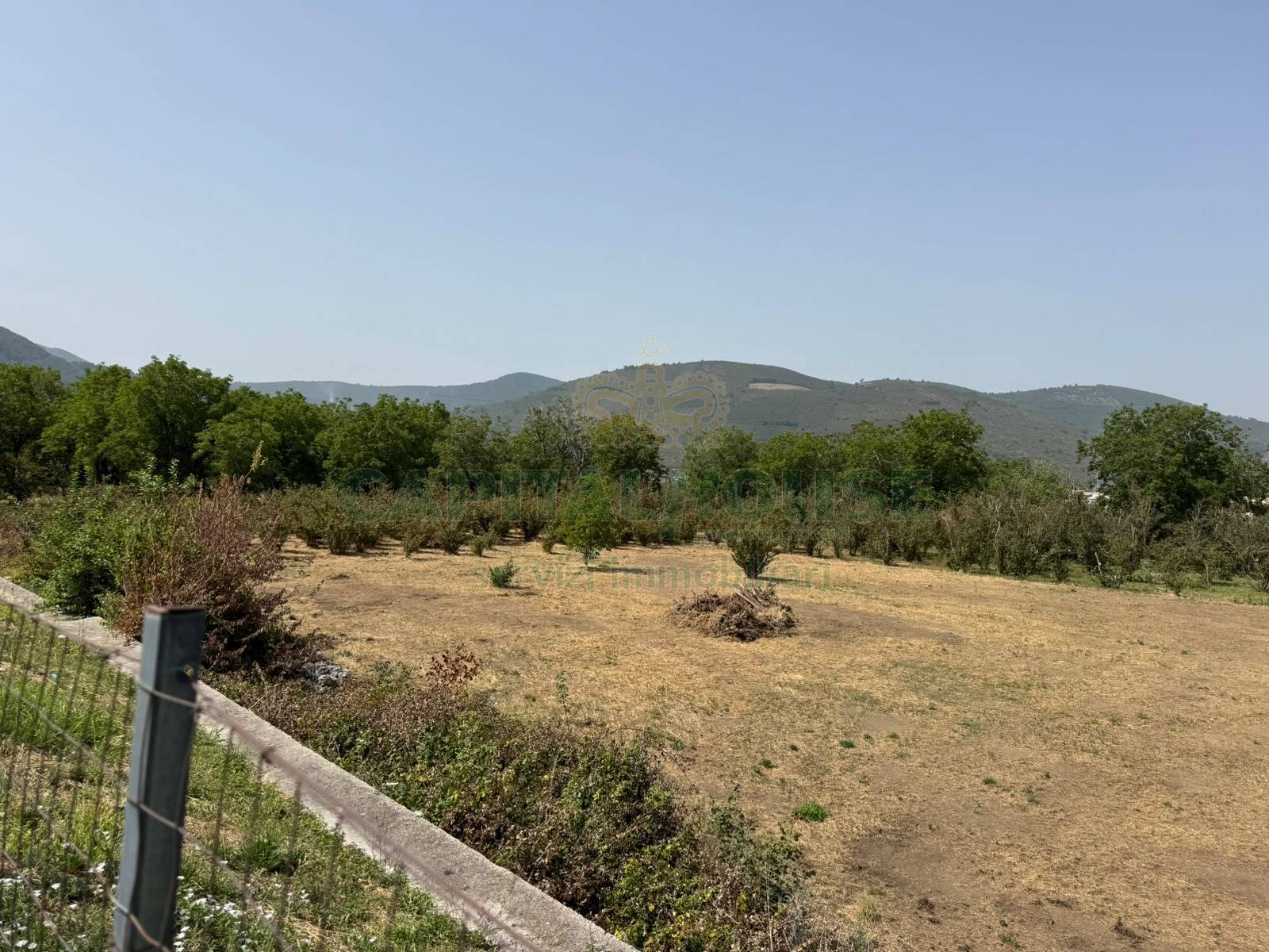 Terreno agricolo in vendita a Mugnano del Cardinale