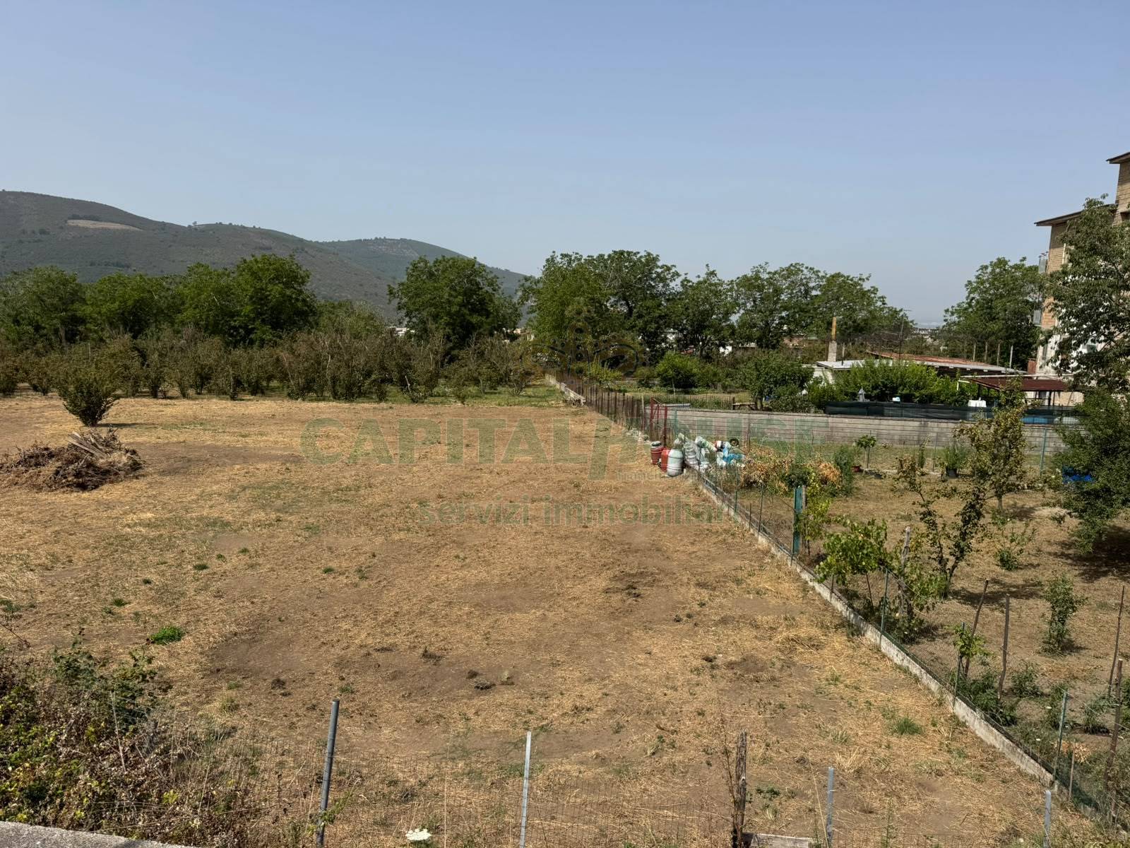 Terreno agricolo in vendita a Mugnano del Cardinale