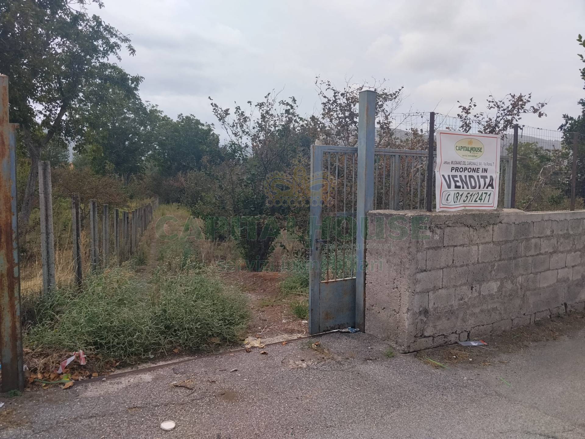Terreno agricolo in vendita a Sirignano