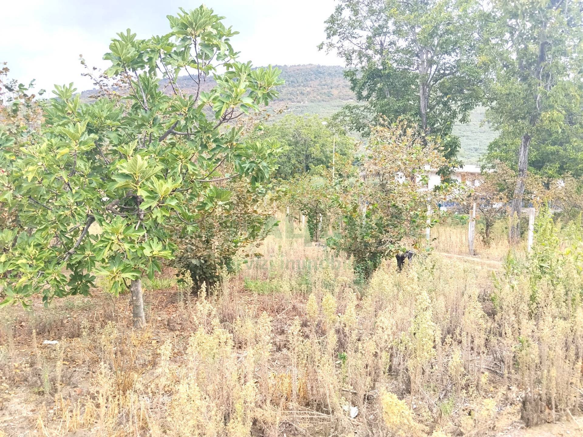 Terreno agricolo in vendita a Sirignano