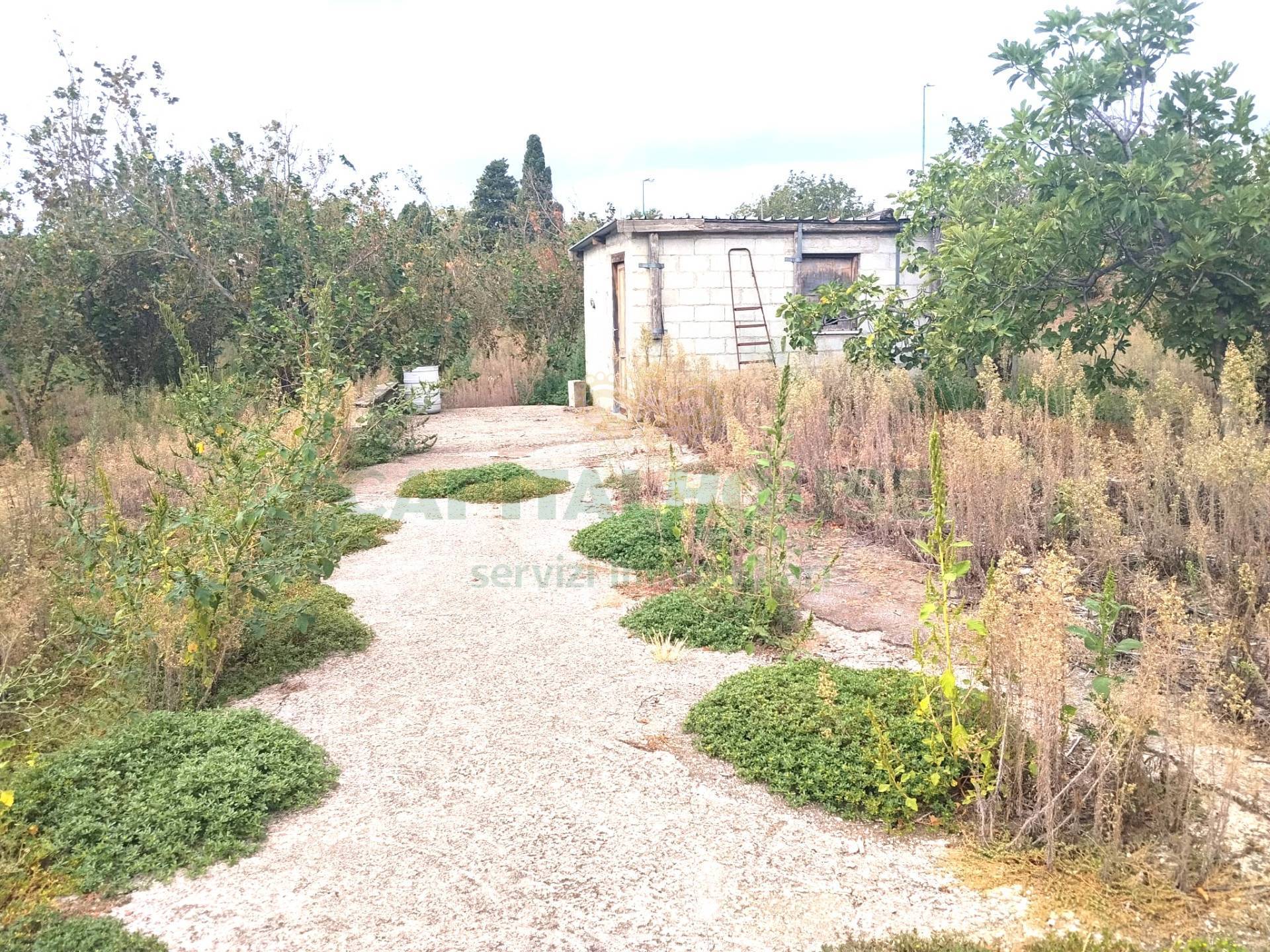 Terreno agricolo in vendita a Sirignano