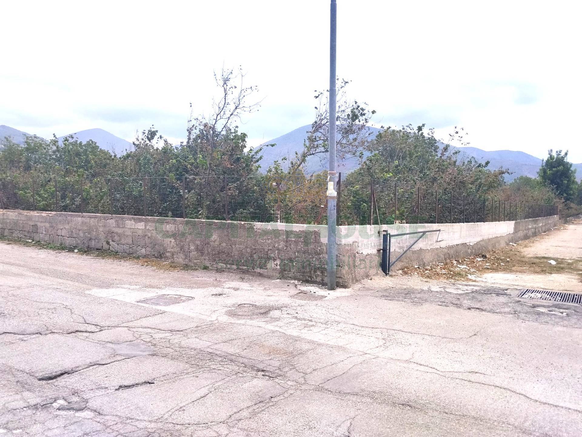 Terreno agricolo in vendita a Sirignano