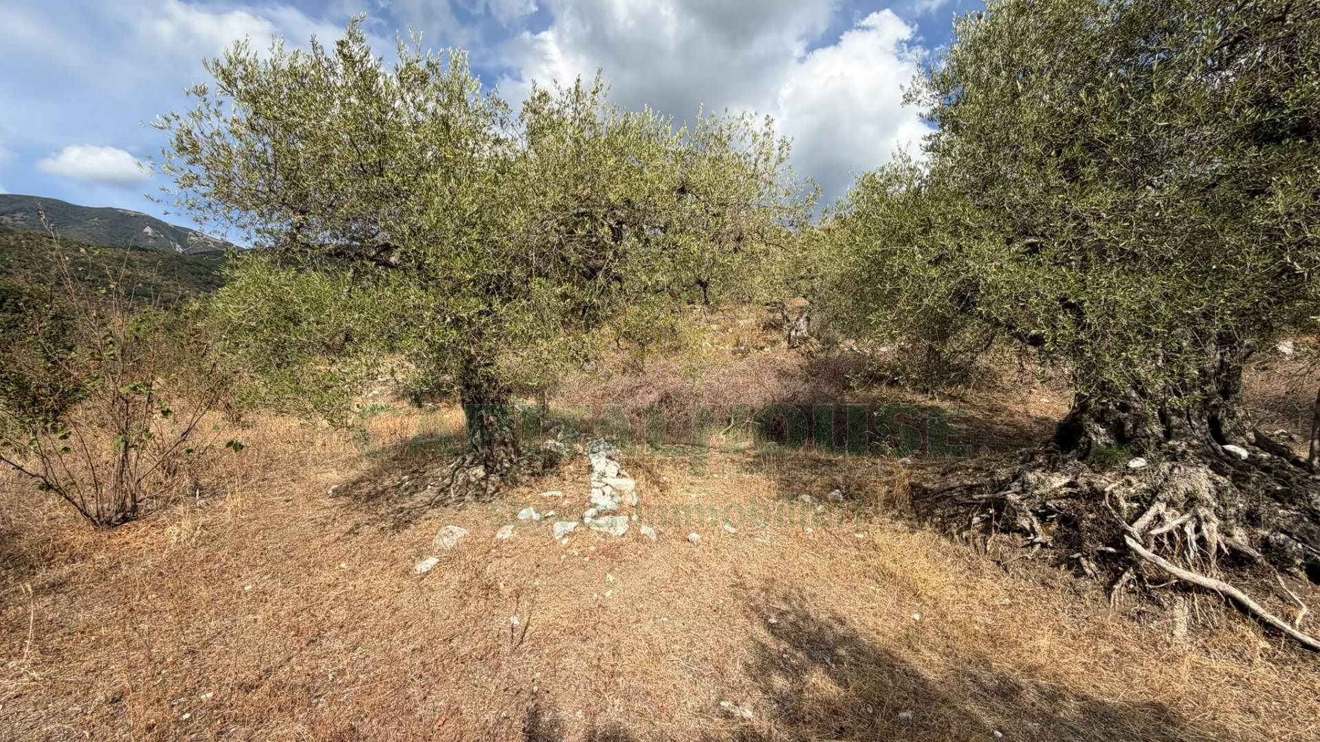 Terreno agricolo in vendita a Quadrelle