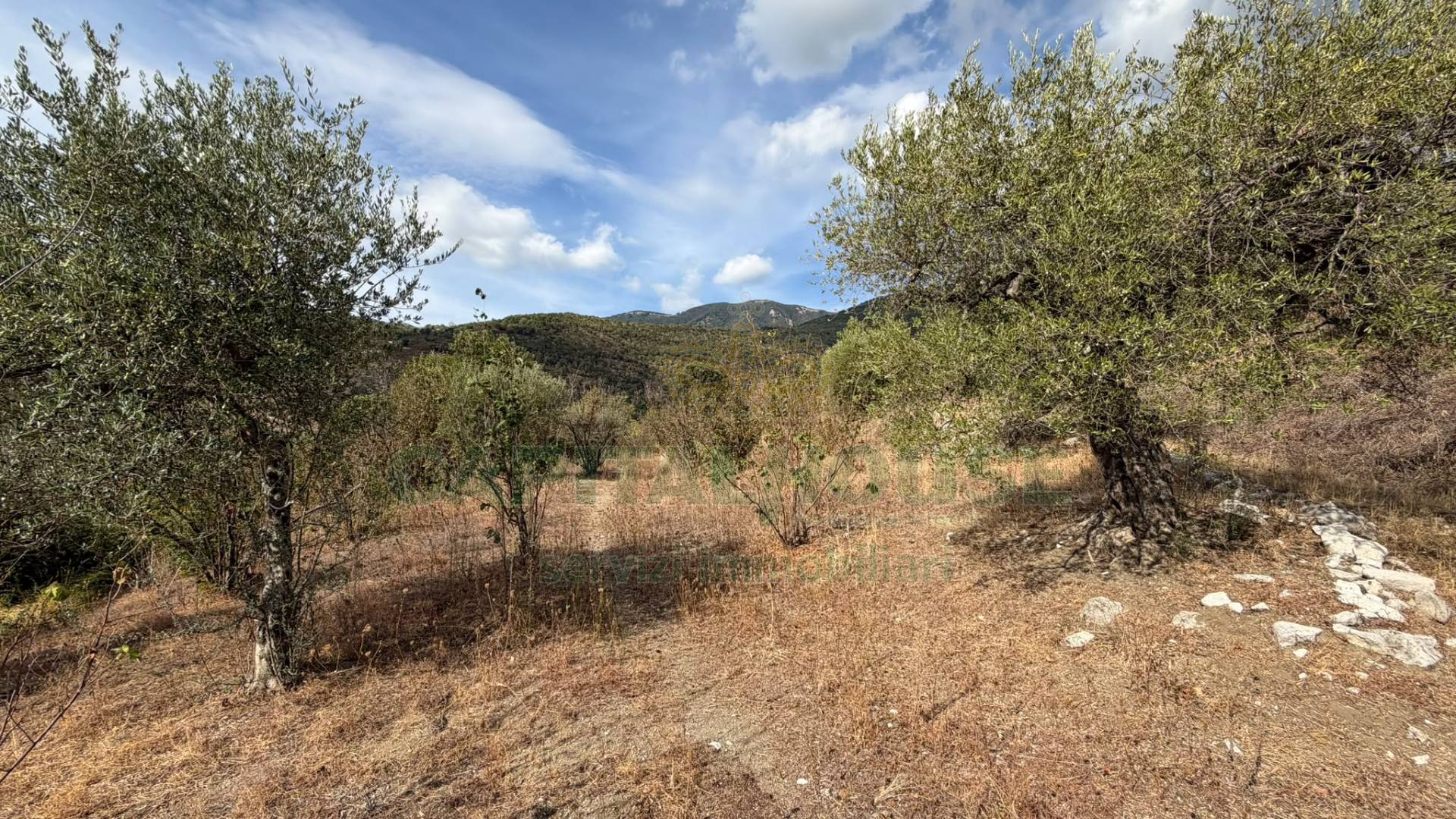 Terreno agricolo in vendita a Quadrelle