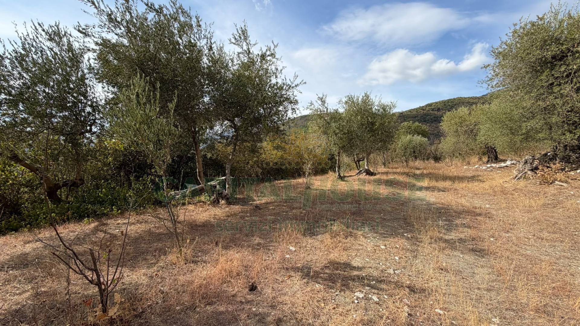 Terreno agricolo in vendita a Quadrelle