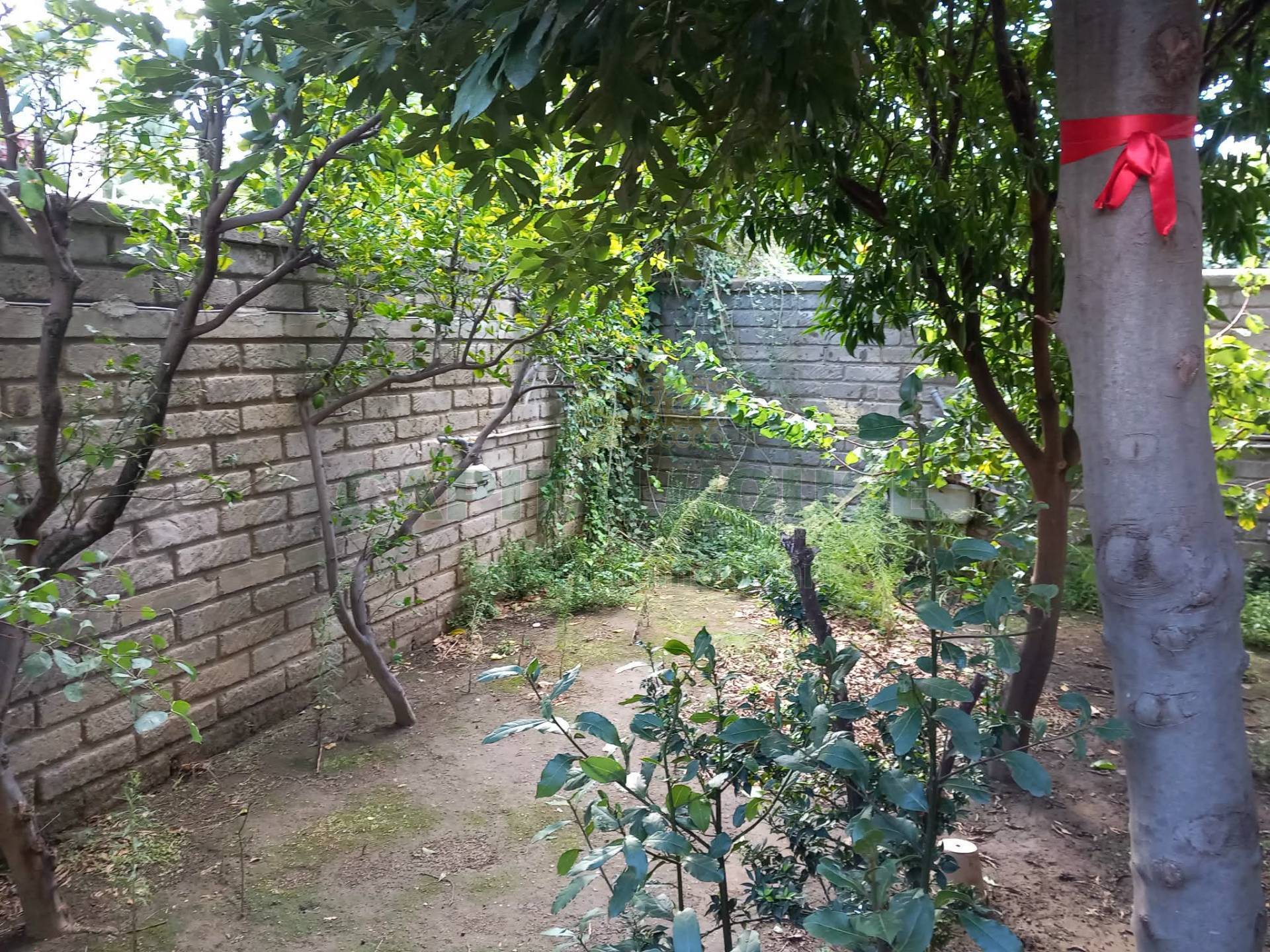 Villa in vendita a Baiano