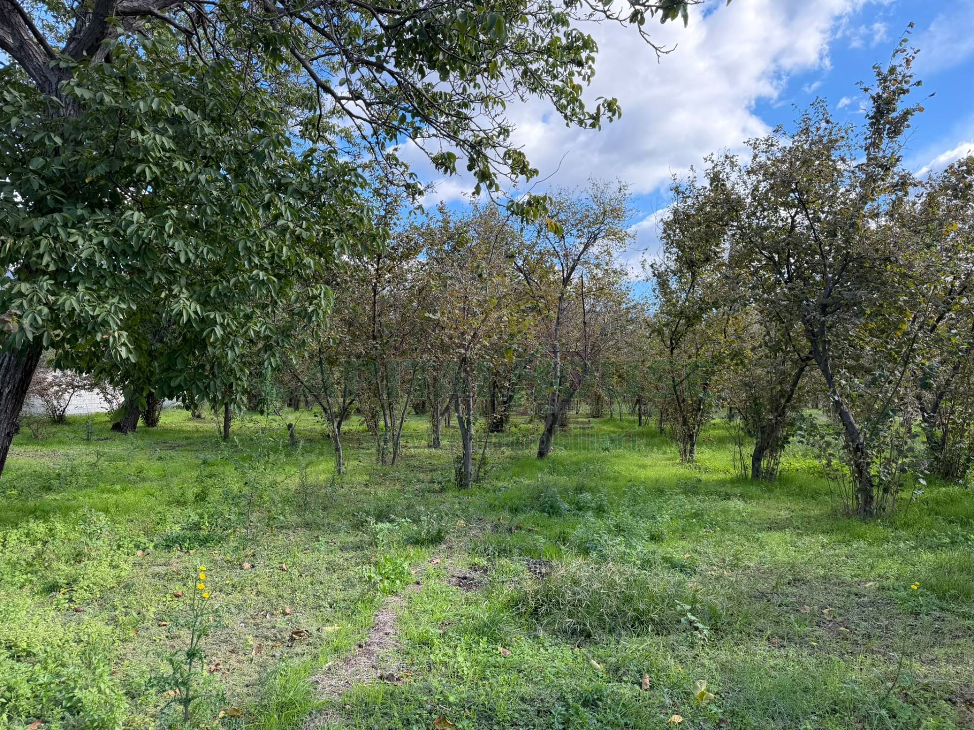 Terreno edificabile in vendita a Sperone