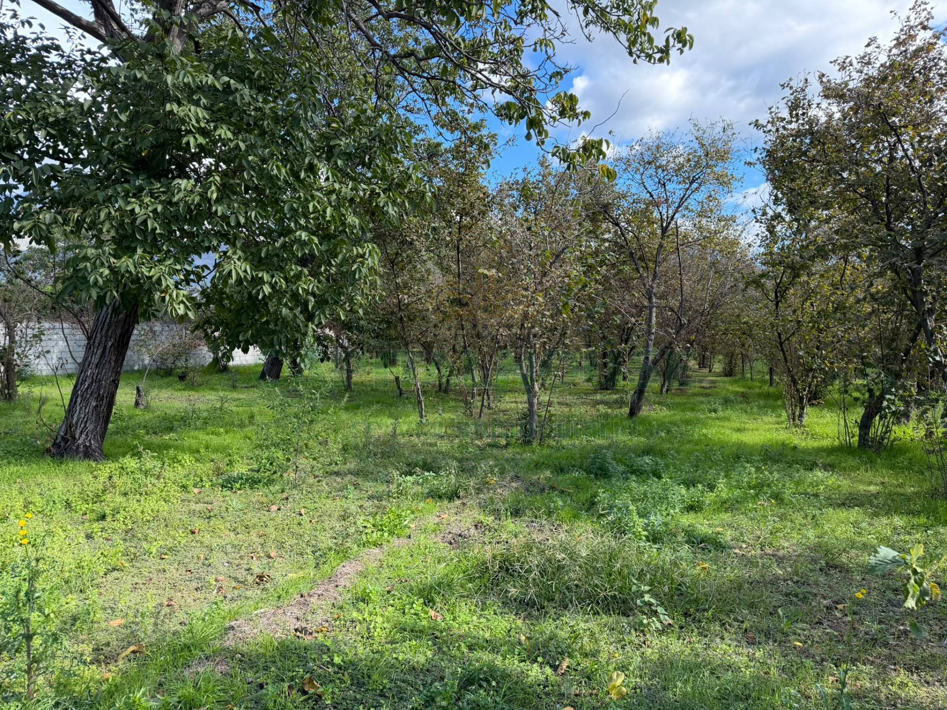 Terreno edificabile in vendita a Sperone