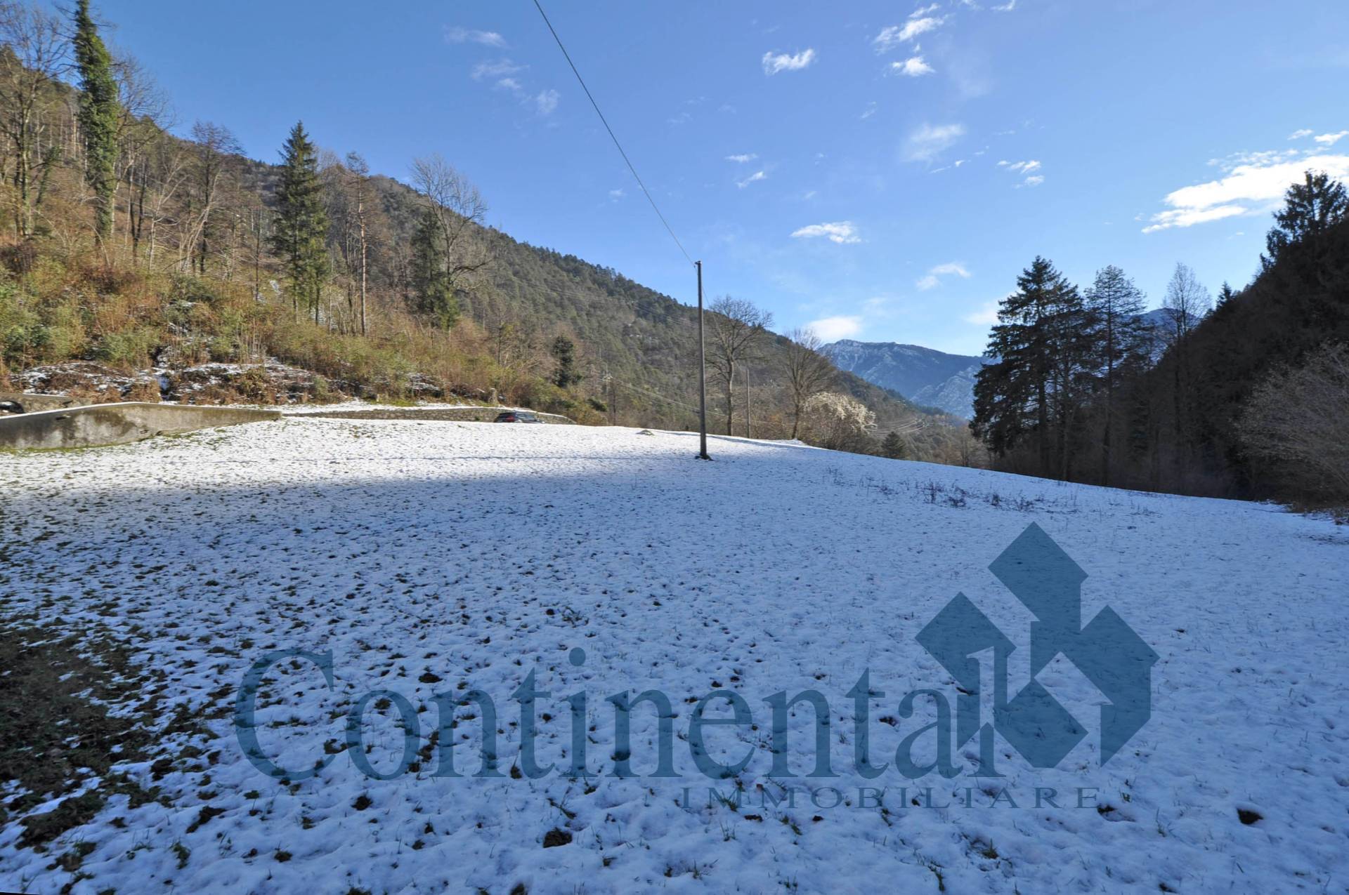 Terreno agricolo in vendita a Olmo al Brembo