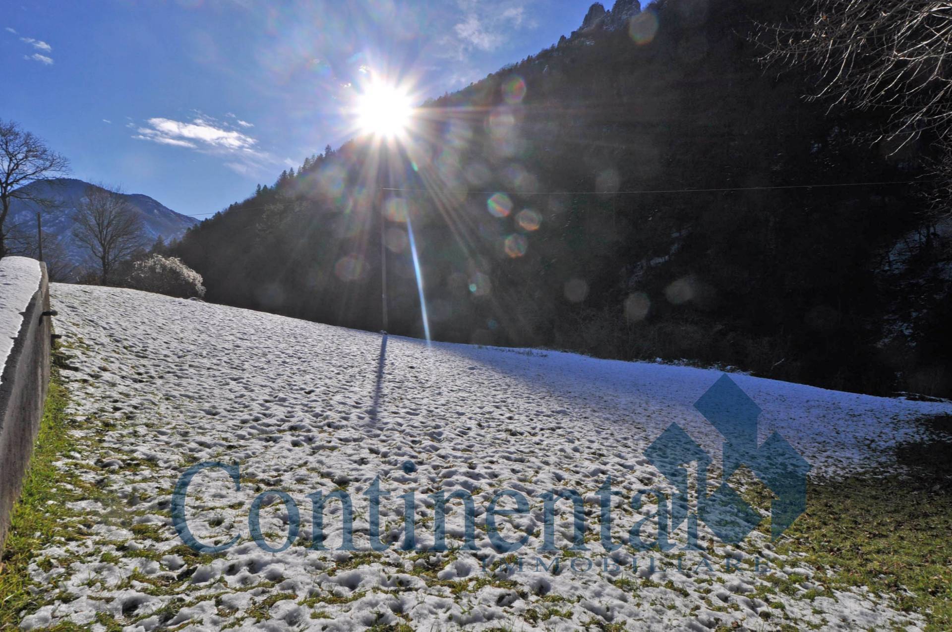Terreno agricolo in vendita a Olmo al Brembo