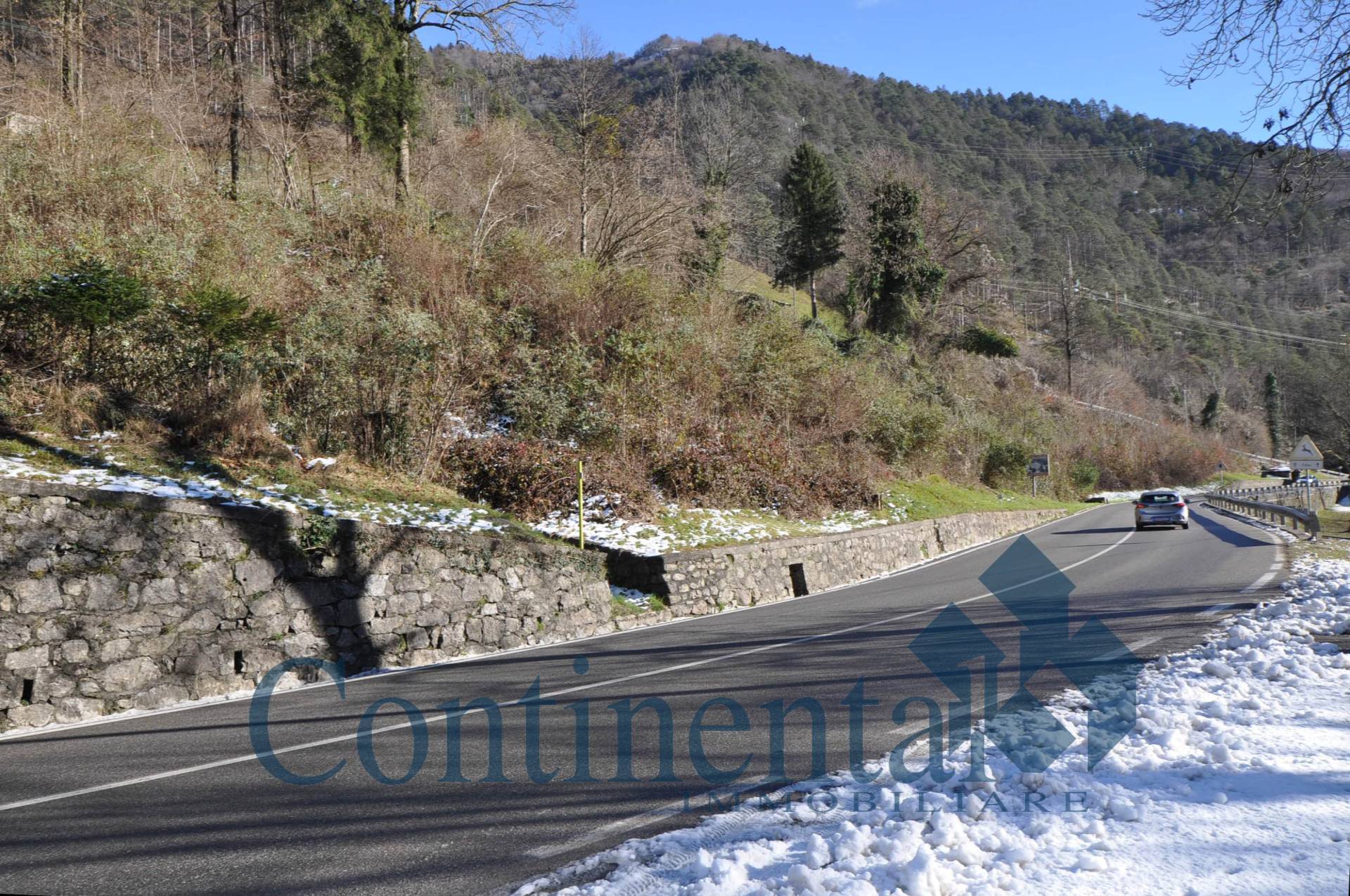 Terreno agricolo in vendita a Olmo al Brembo