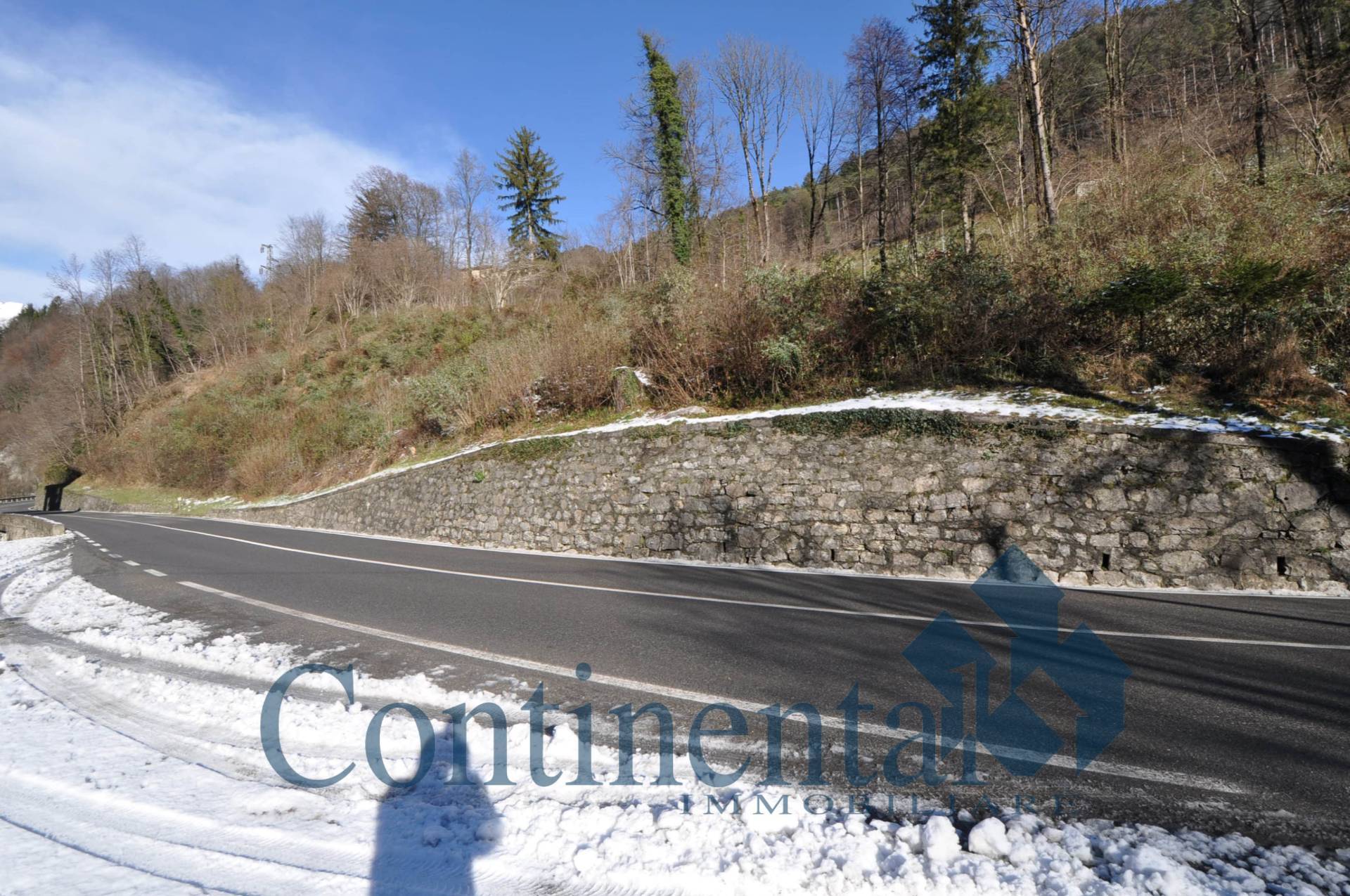 Terreno agricolo in vendita a Olmo al Brembo