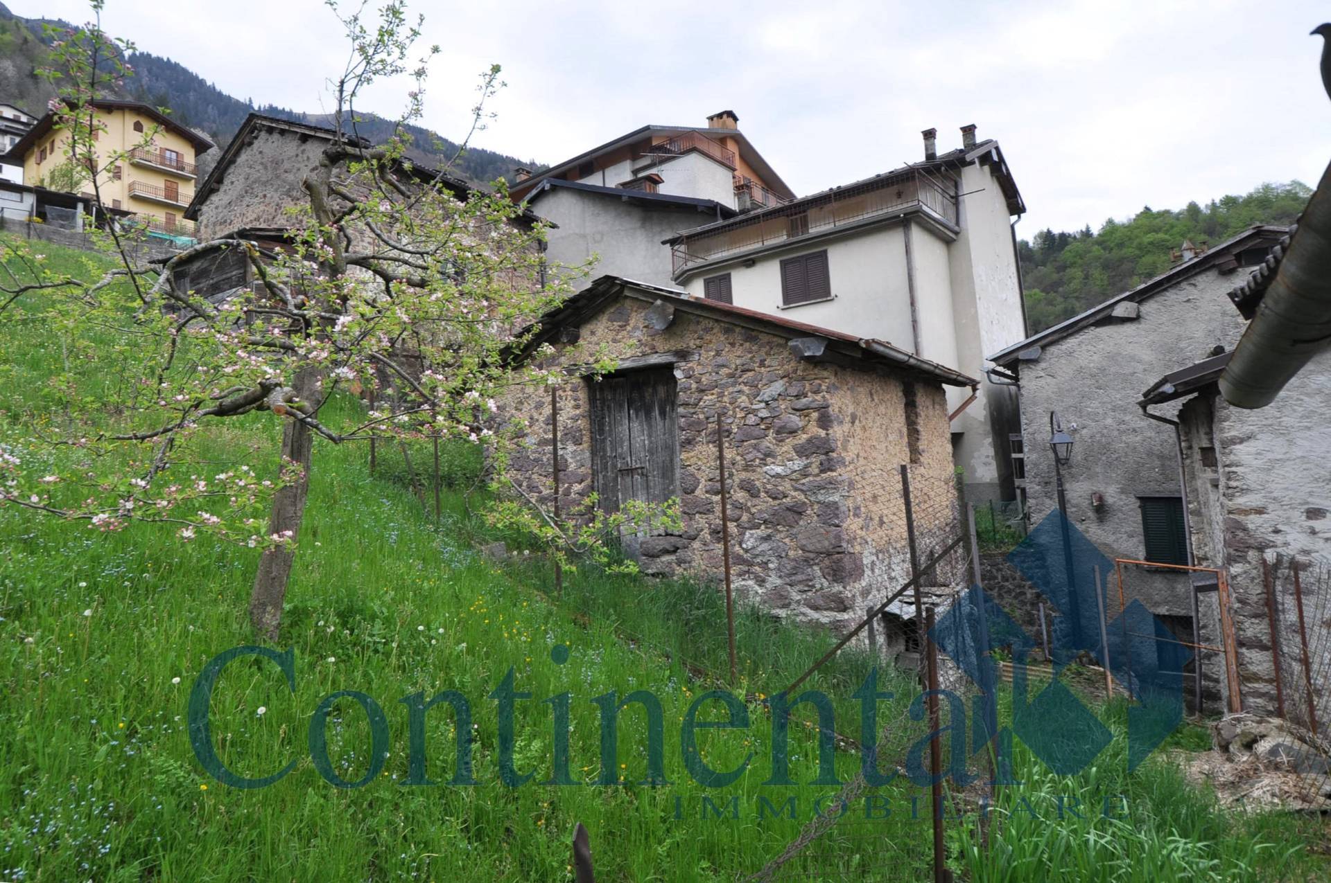 Rustico Baita in vendita a Cusio