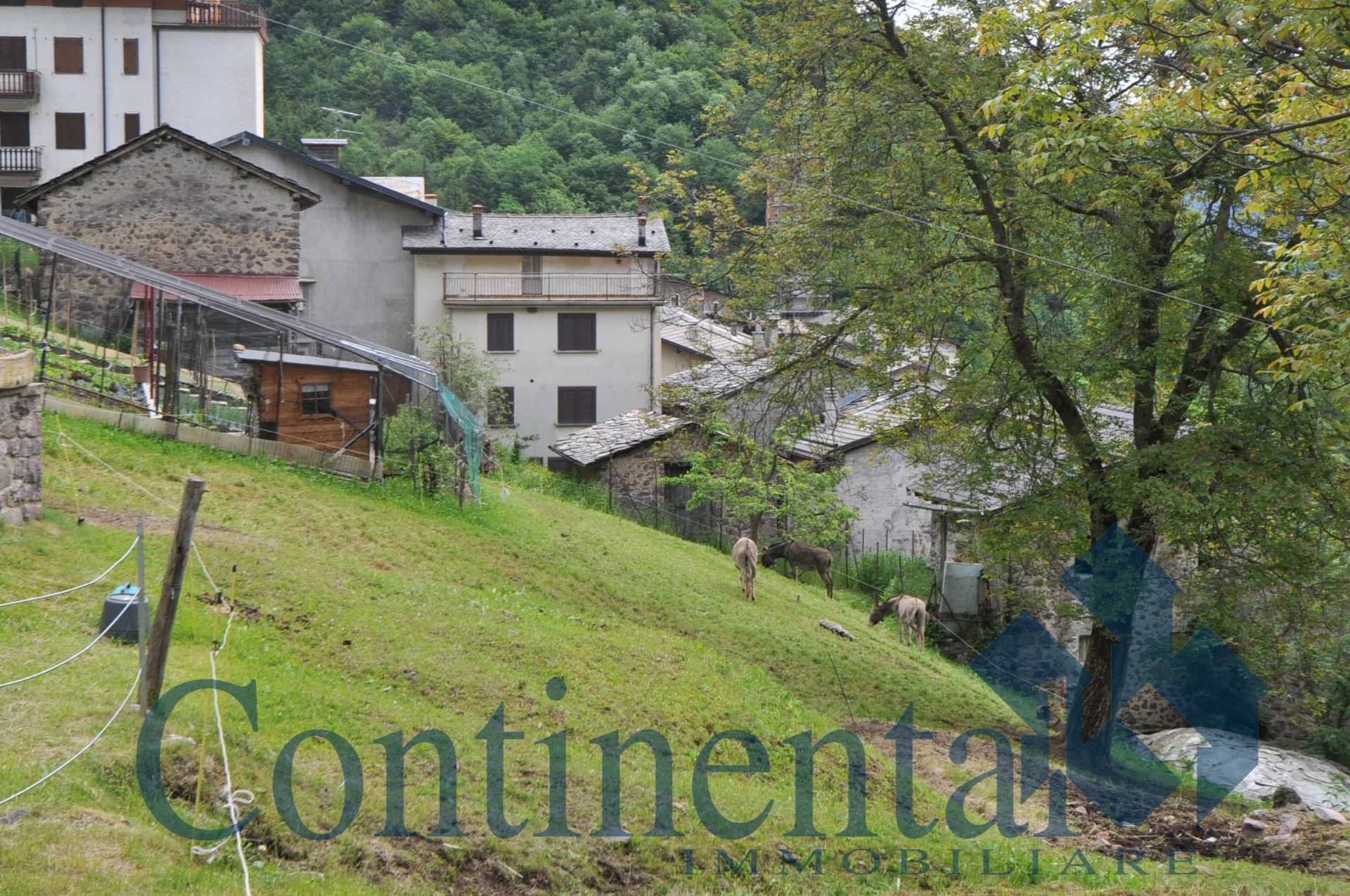 Rustico Baita in vendita a Cusio