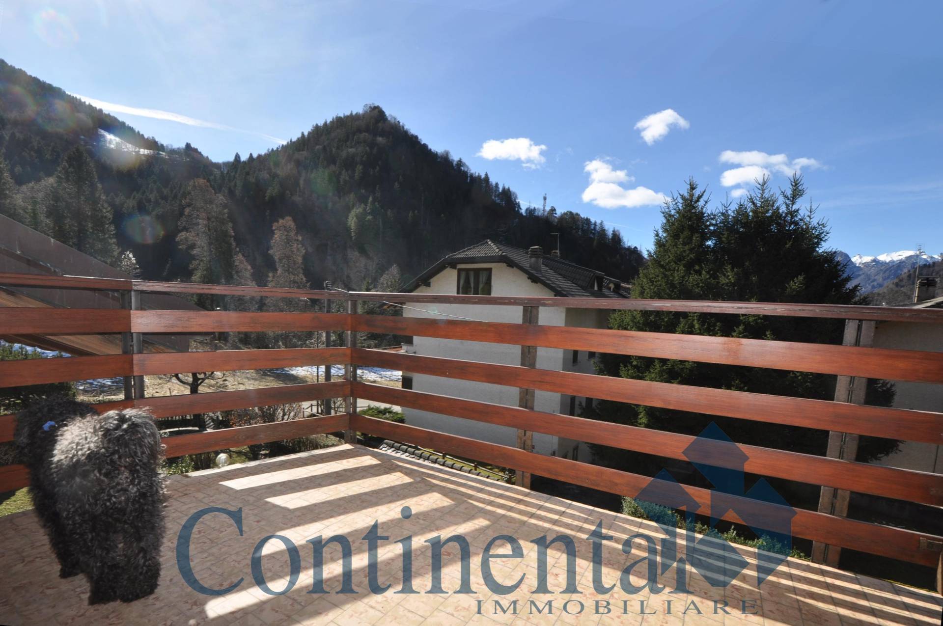 Appartamento in vendita a Piazzatorre