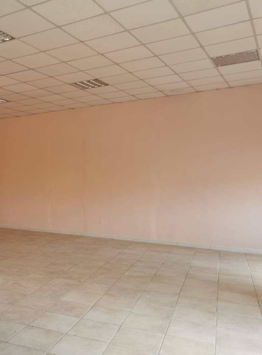 Studio/Ufficio in affitto a Pisa, Porta Fiorentina