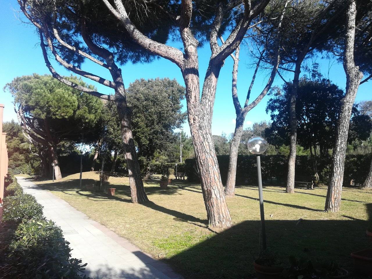 Appartamento con ingresso indipendente in affitto a Pisa, Marina di Pisa