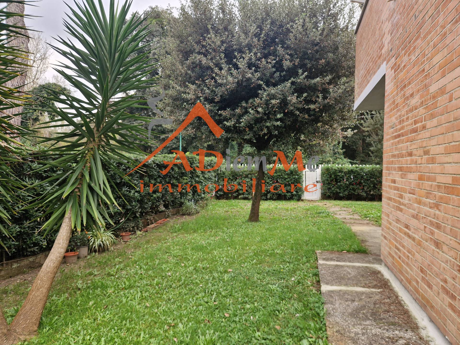 Appartamento in affitto a Pisa, Tirrenia