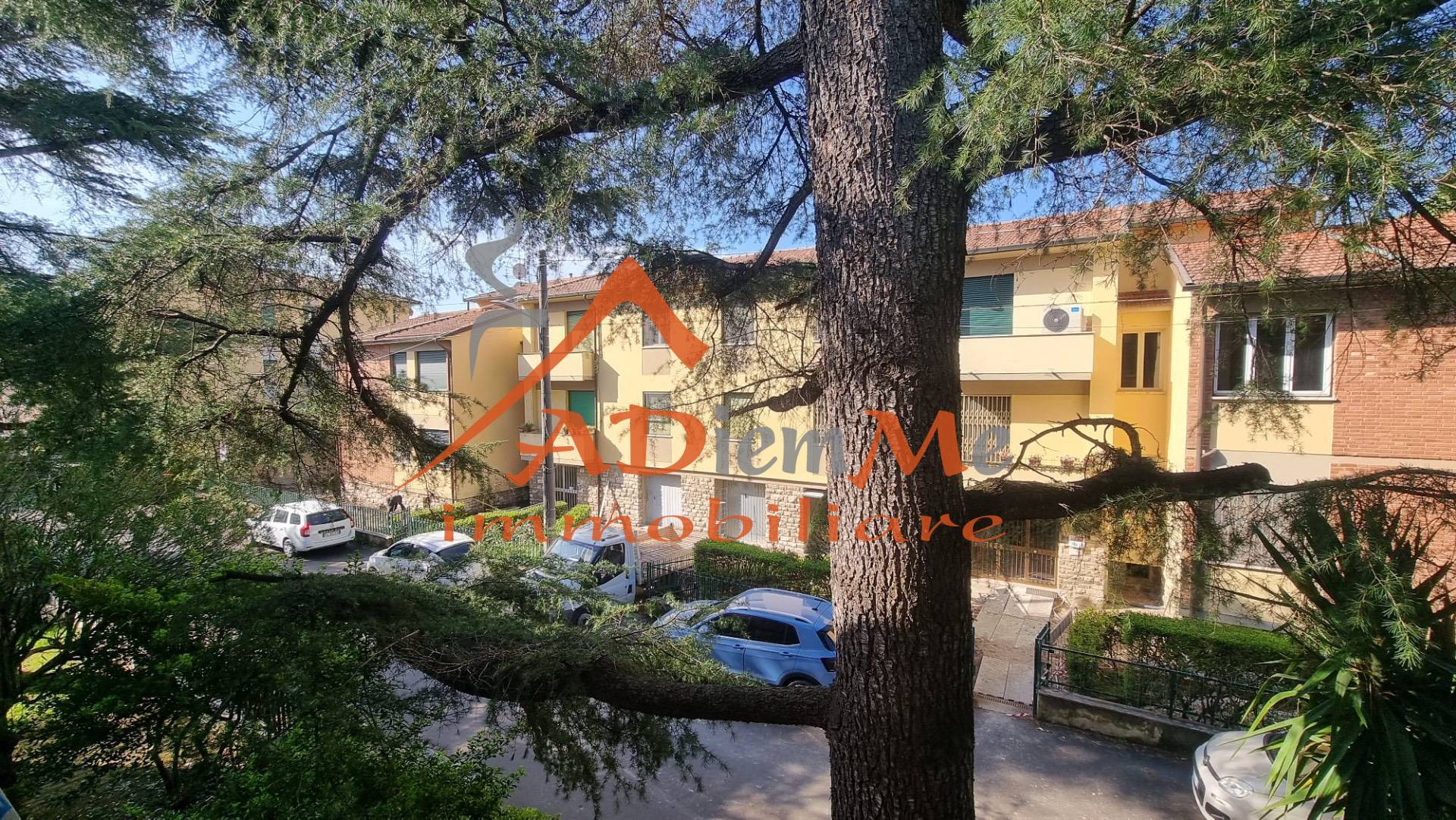 Appartamento in affitto a Pisa, Il Borghetto