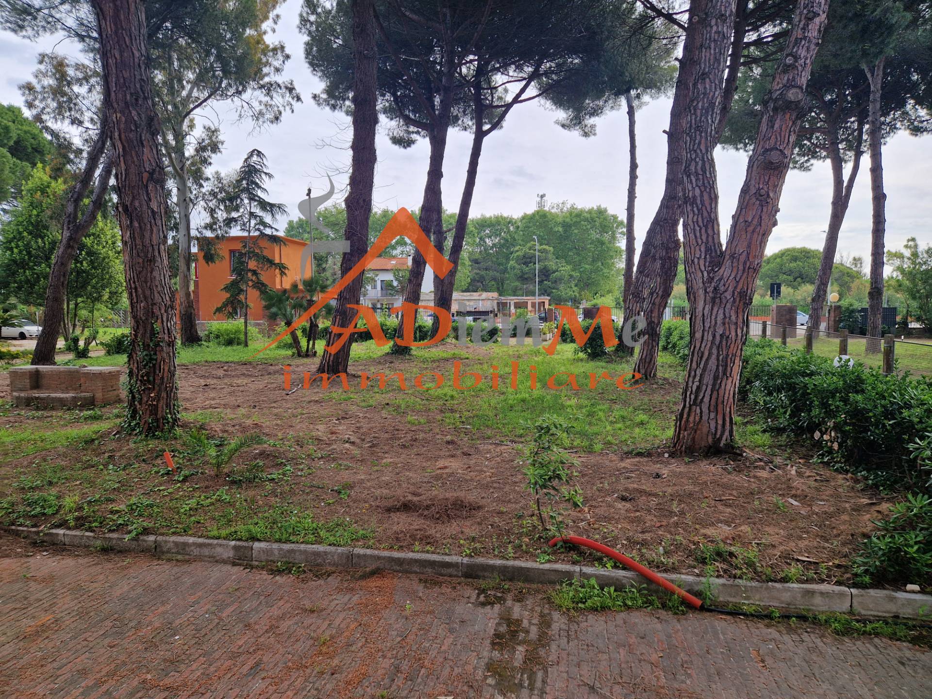 Appartamento in affitto a Pisa, Calambrone