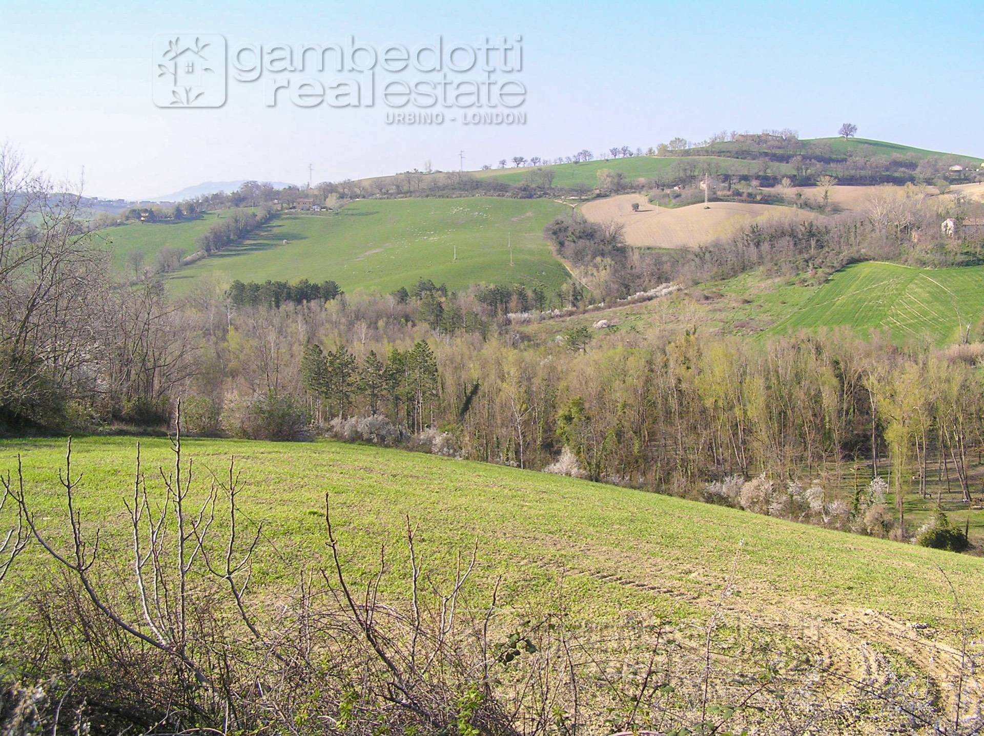immagine annuncio 3 di 6