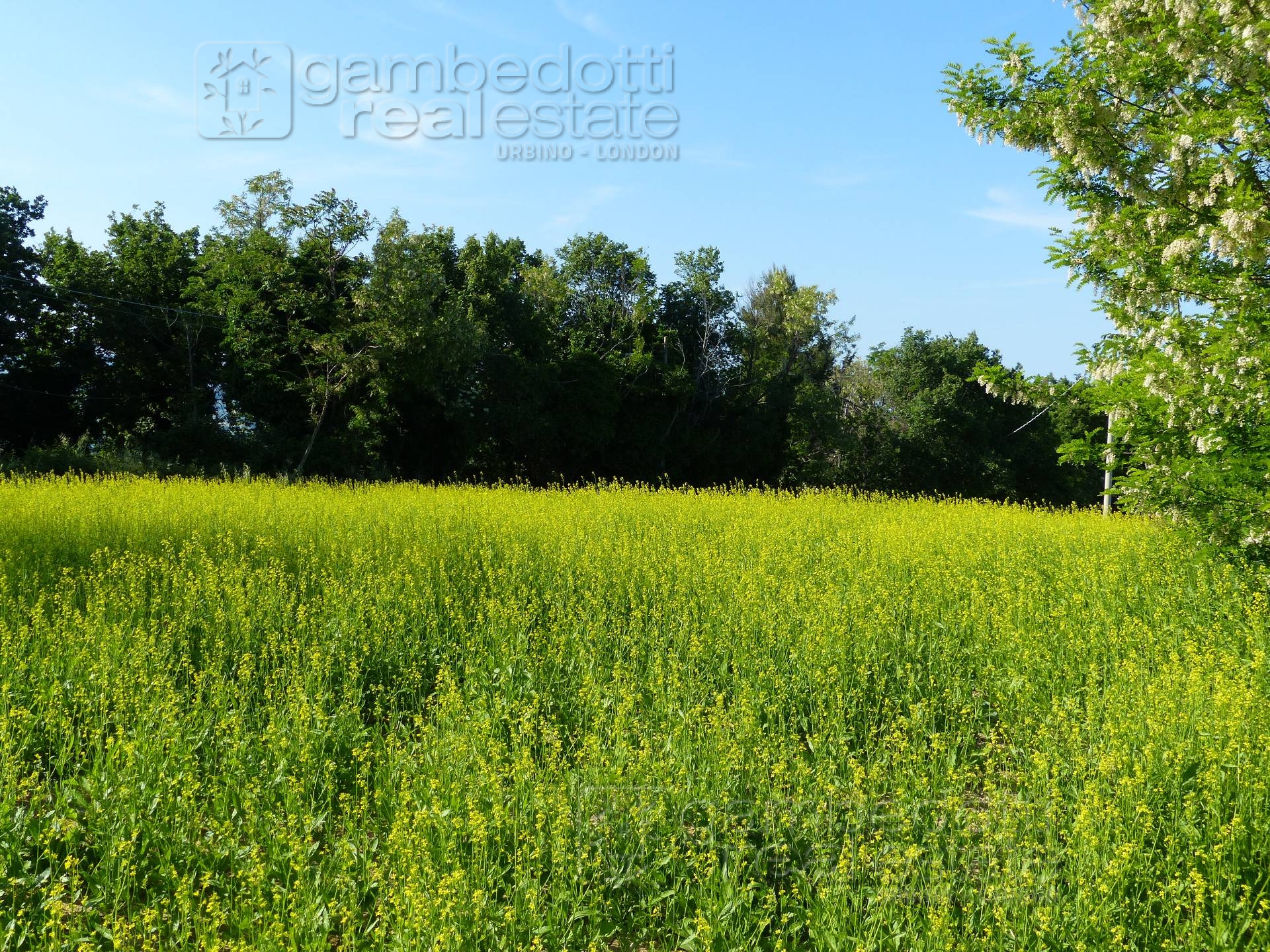 Edificable in vendita a Sant'Ippolito