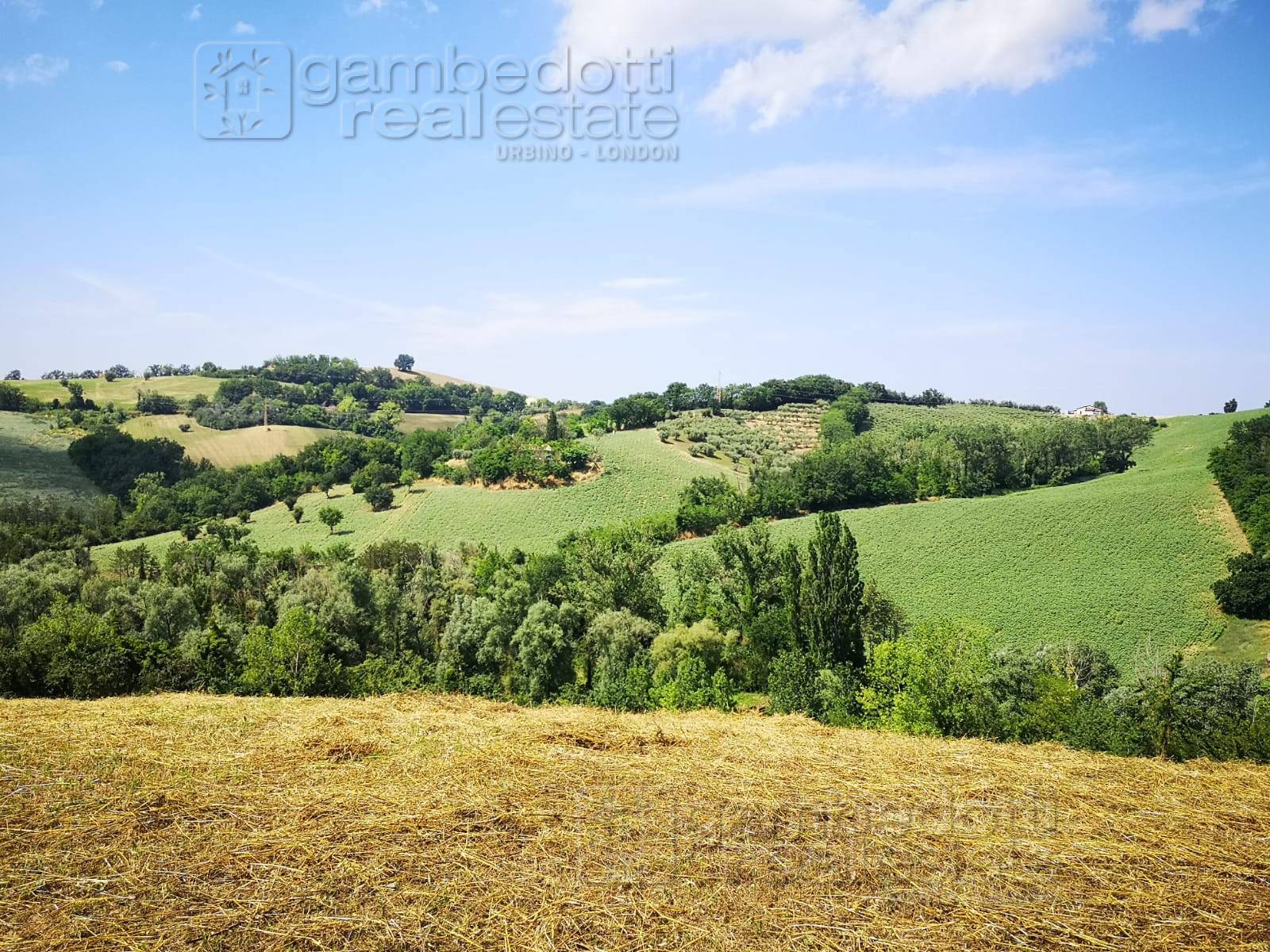 Rustico in vendita a Terre Roveresche