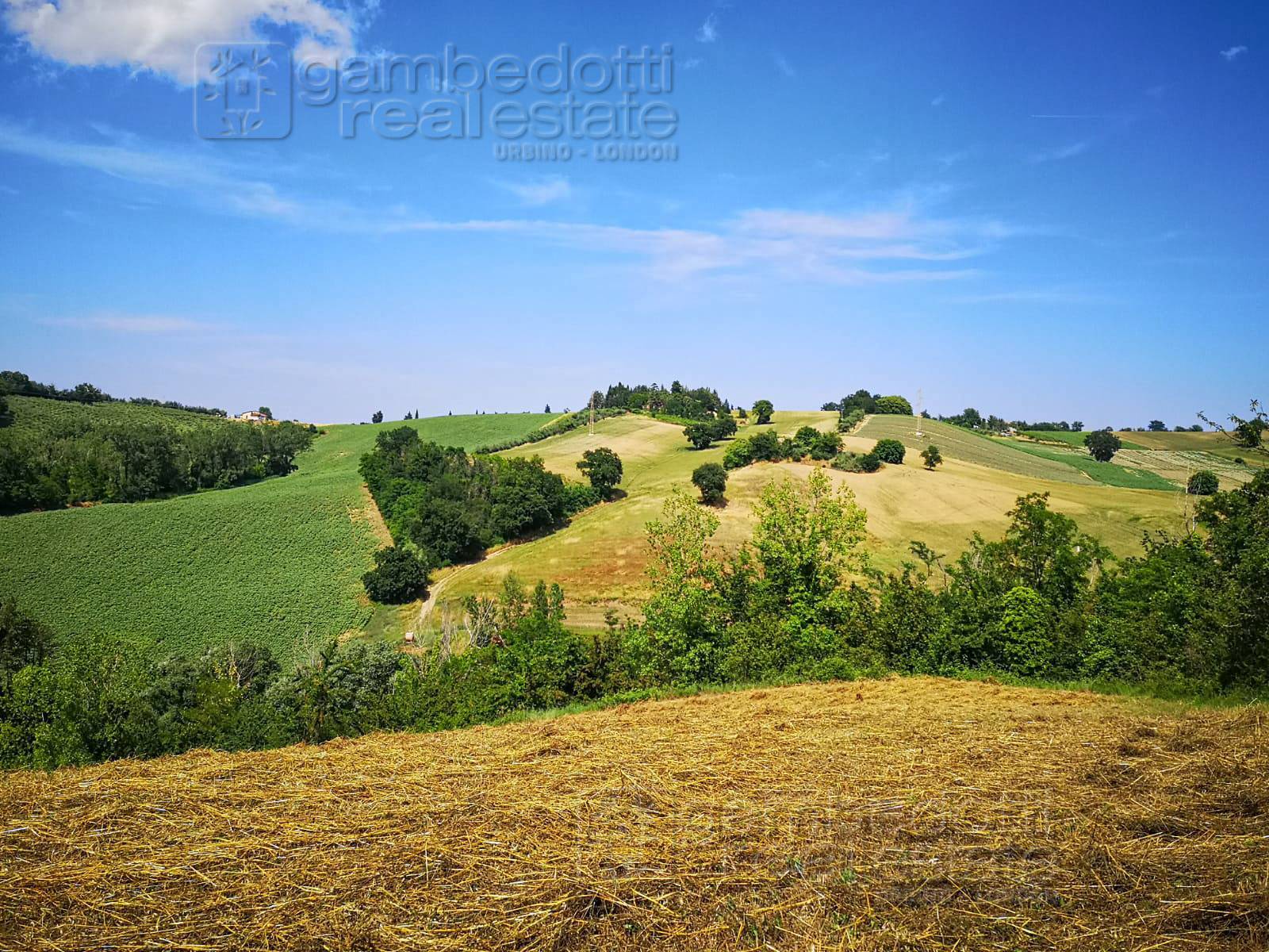 Rustico in vendita a Terre Roveresche