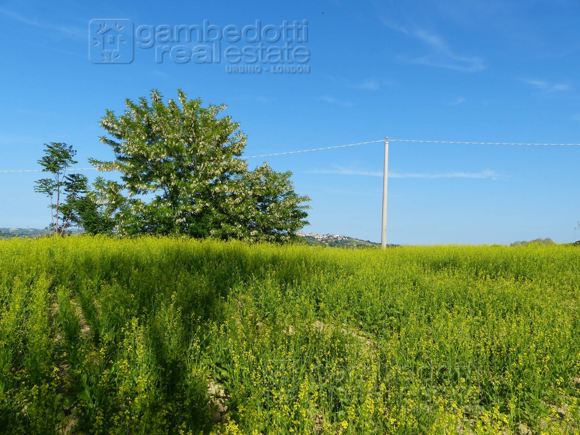 Edificable in vendita a Sant'Ippolito