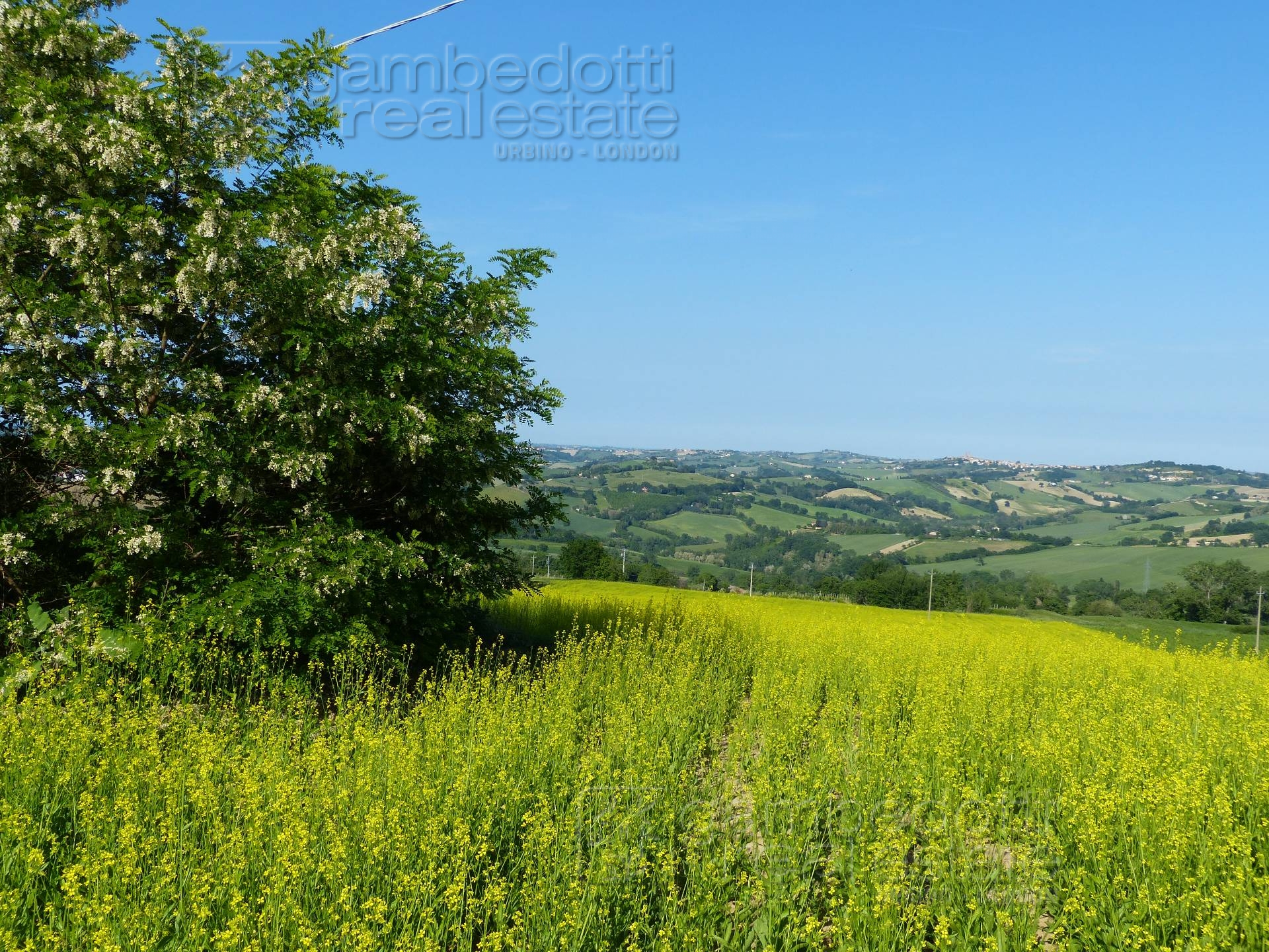 Edificable in vendita a Sant'Ippolito