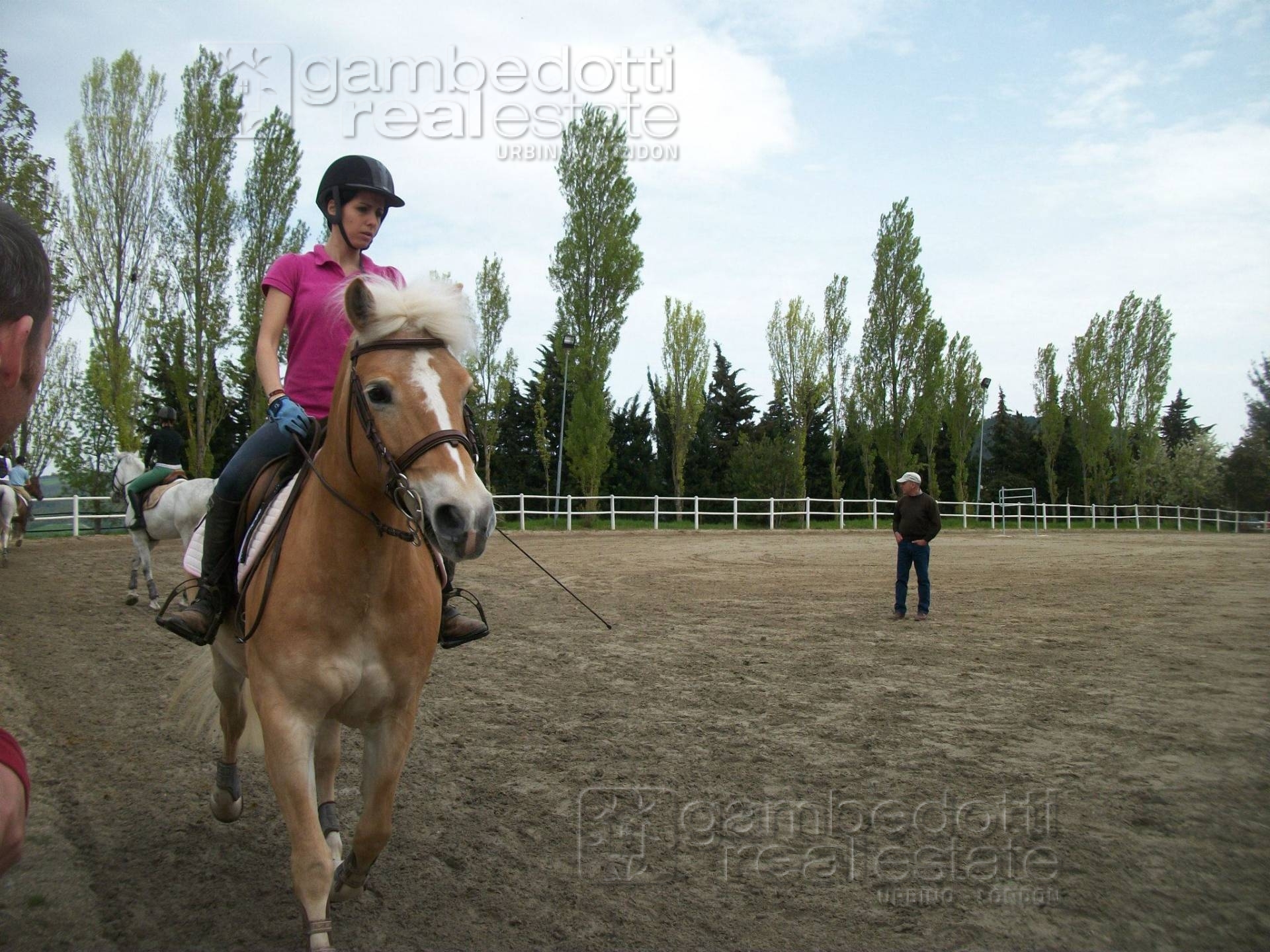 Attivit commerciale in vendita a Pesaro