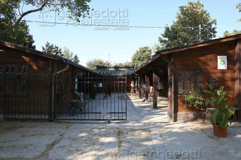 Attivit commerciale in vendita a Pesaro