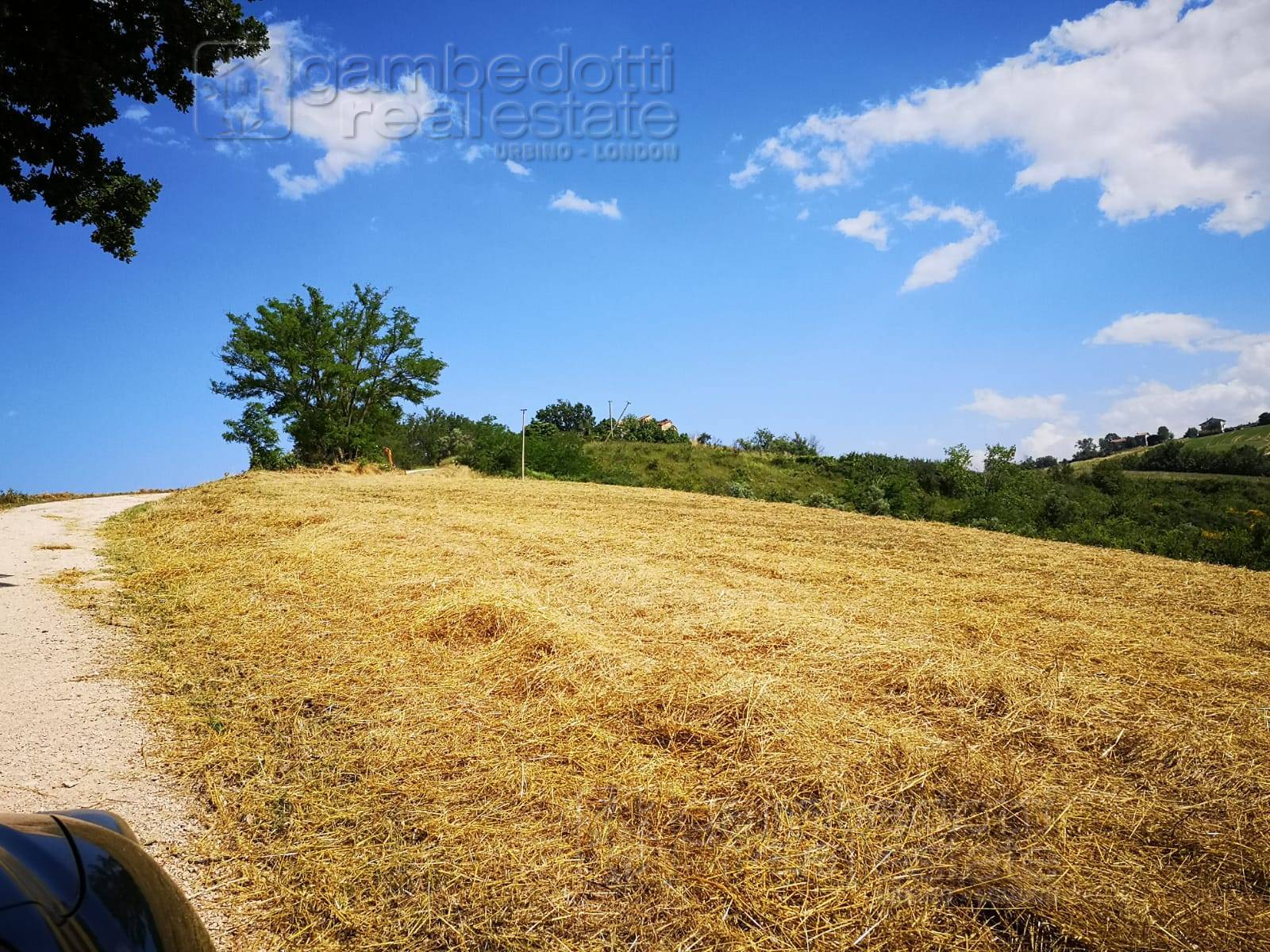 Rustico in vendita a Terre Roveresche