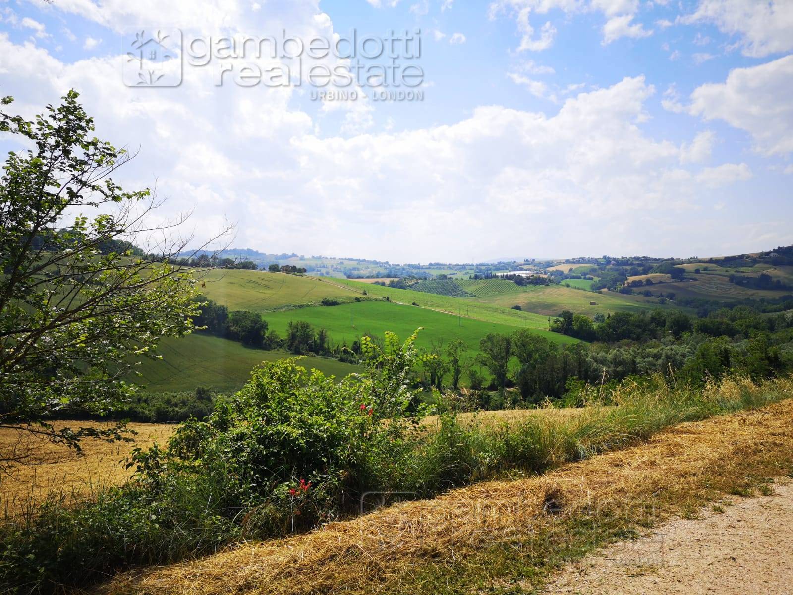 Rustico in vendita a Terre Roveresche