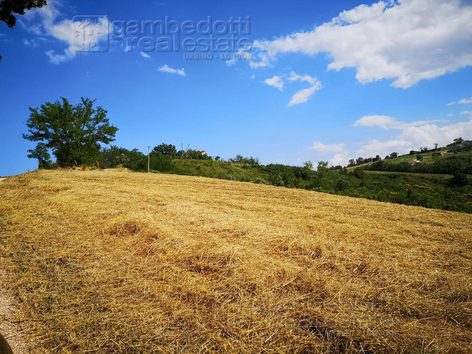 Rustico in vendita a Terre Roveresche
