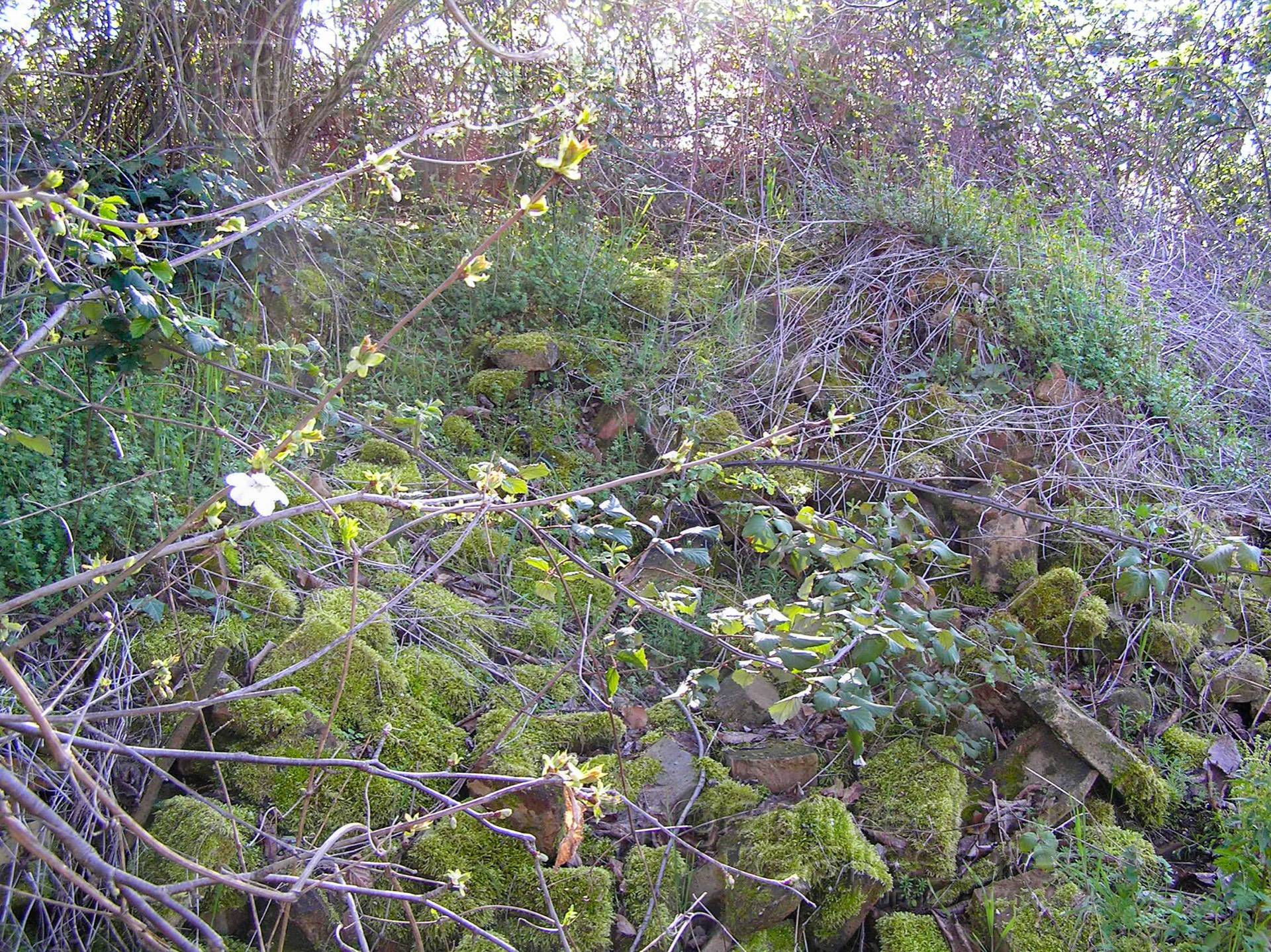 Rustico in vendita a Terre Roveresche